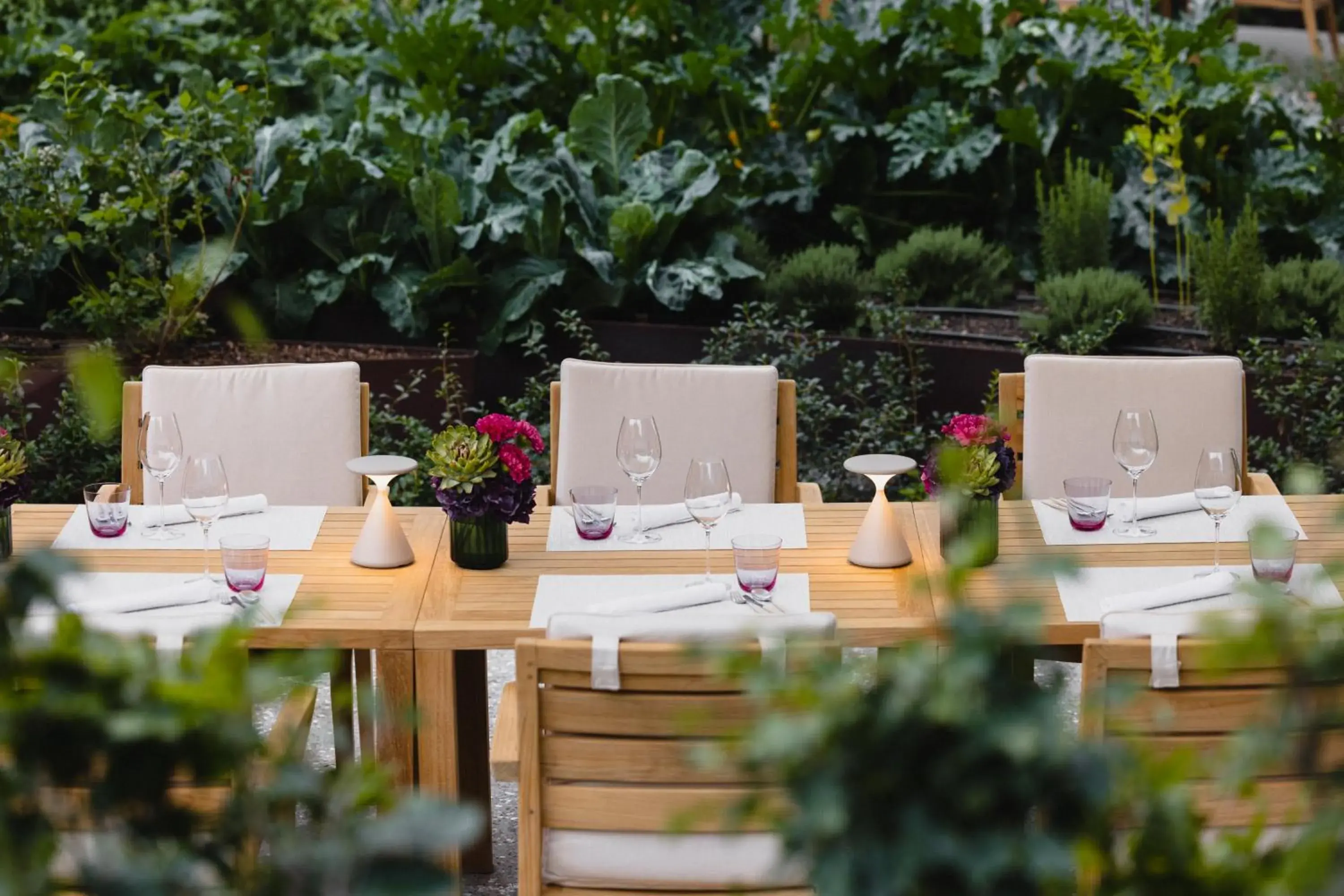 Restaurant/places to eat in The Dolder Grand - City and Spa Resort Zurich Restaurant/places to eat in The Dolder Grand - City and Spa Resort Zurich