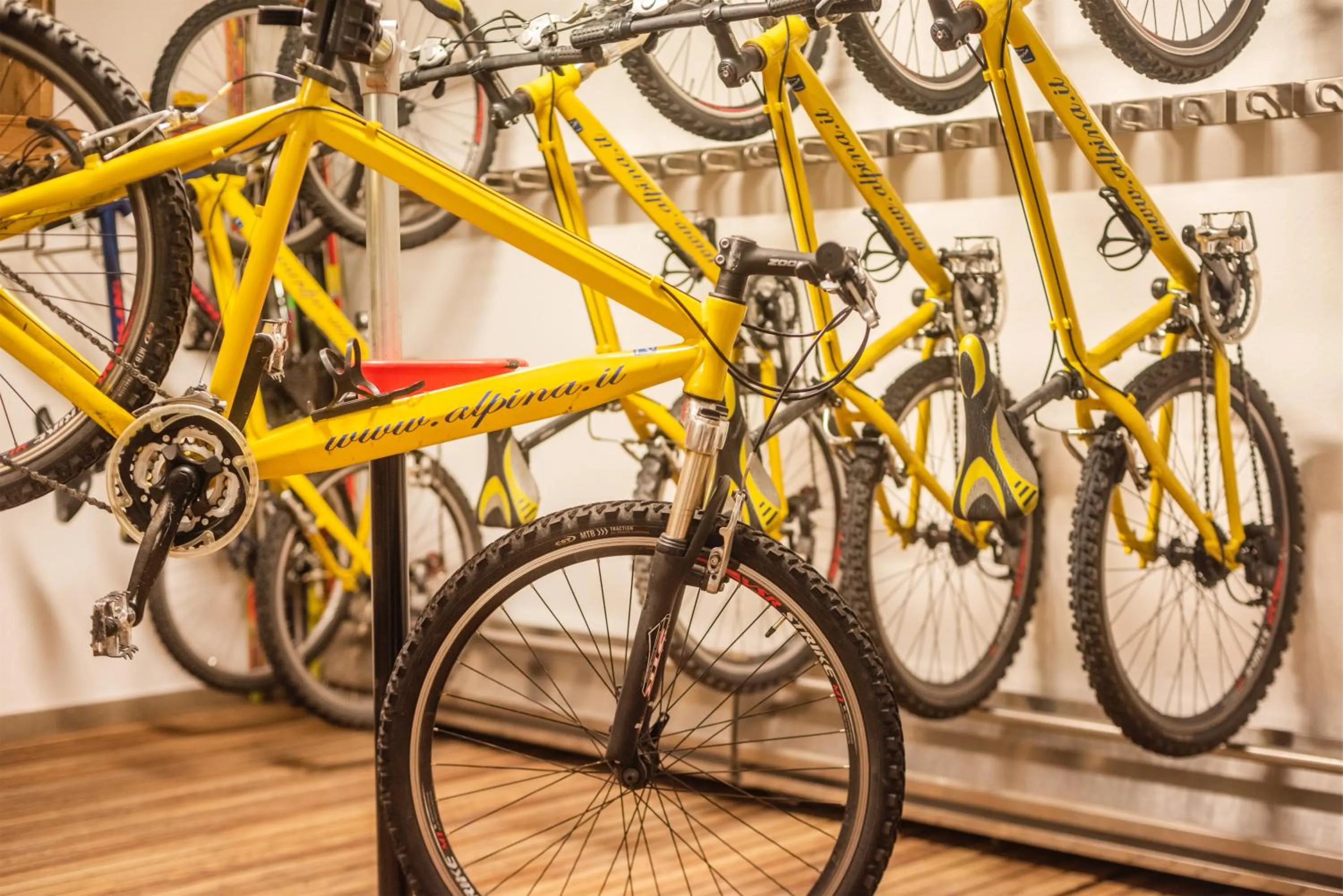 Cycling in Hotel Alpina