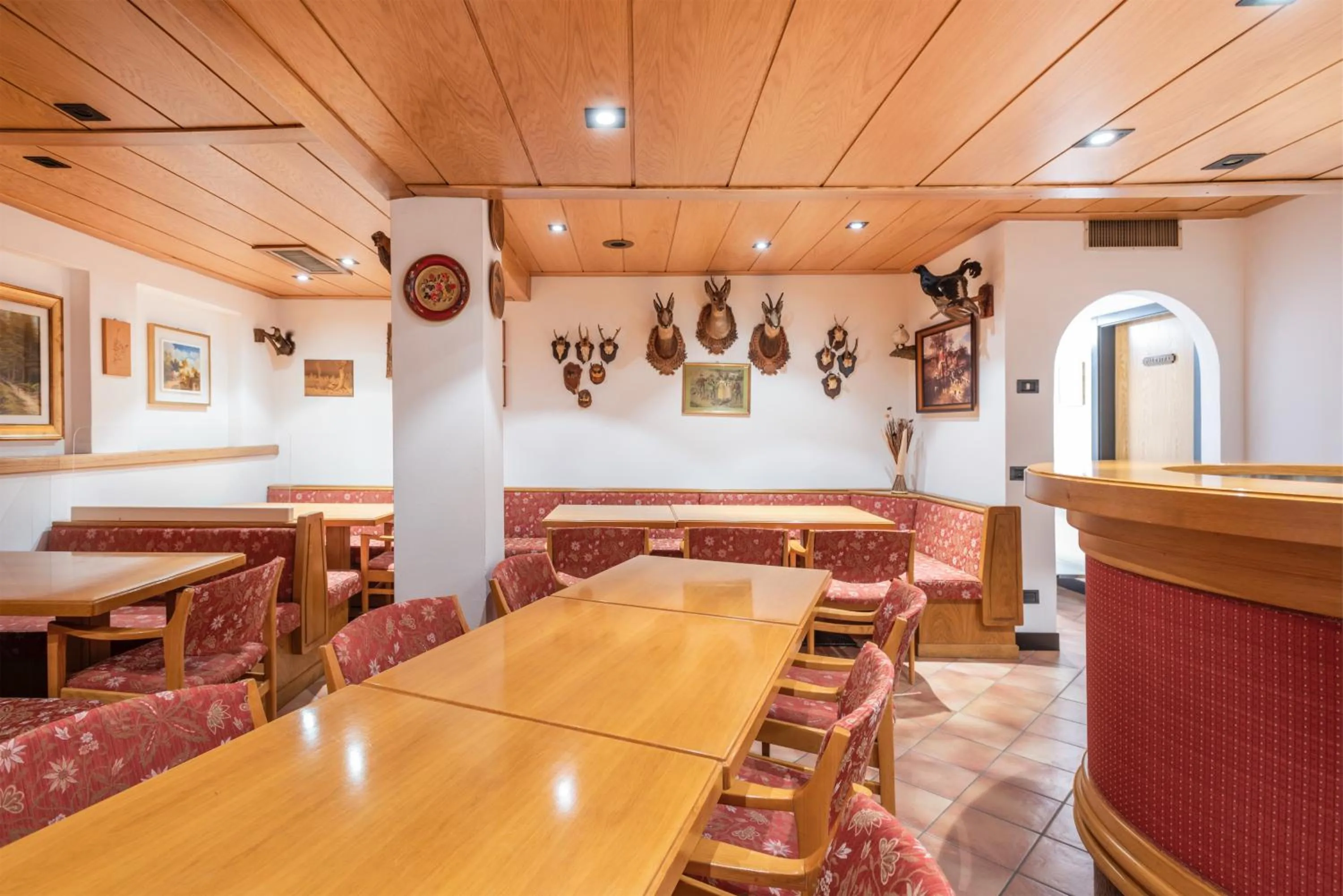 Lounge or bar in Hotel Alpina