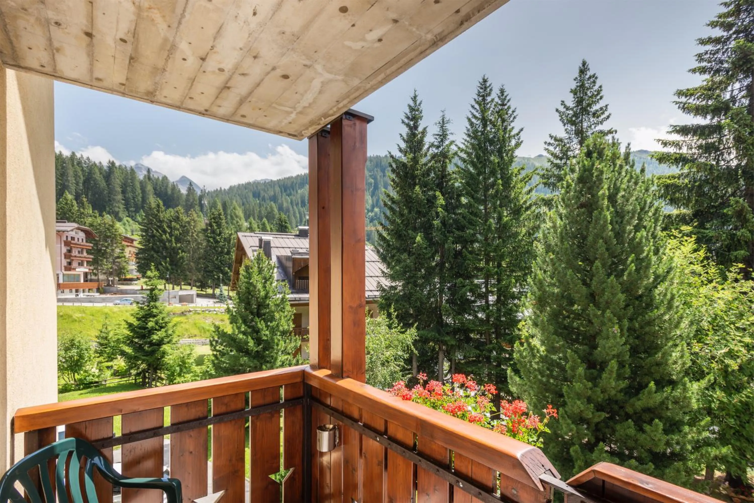 View (from property/room) in Hotel Alpina