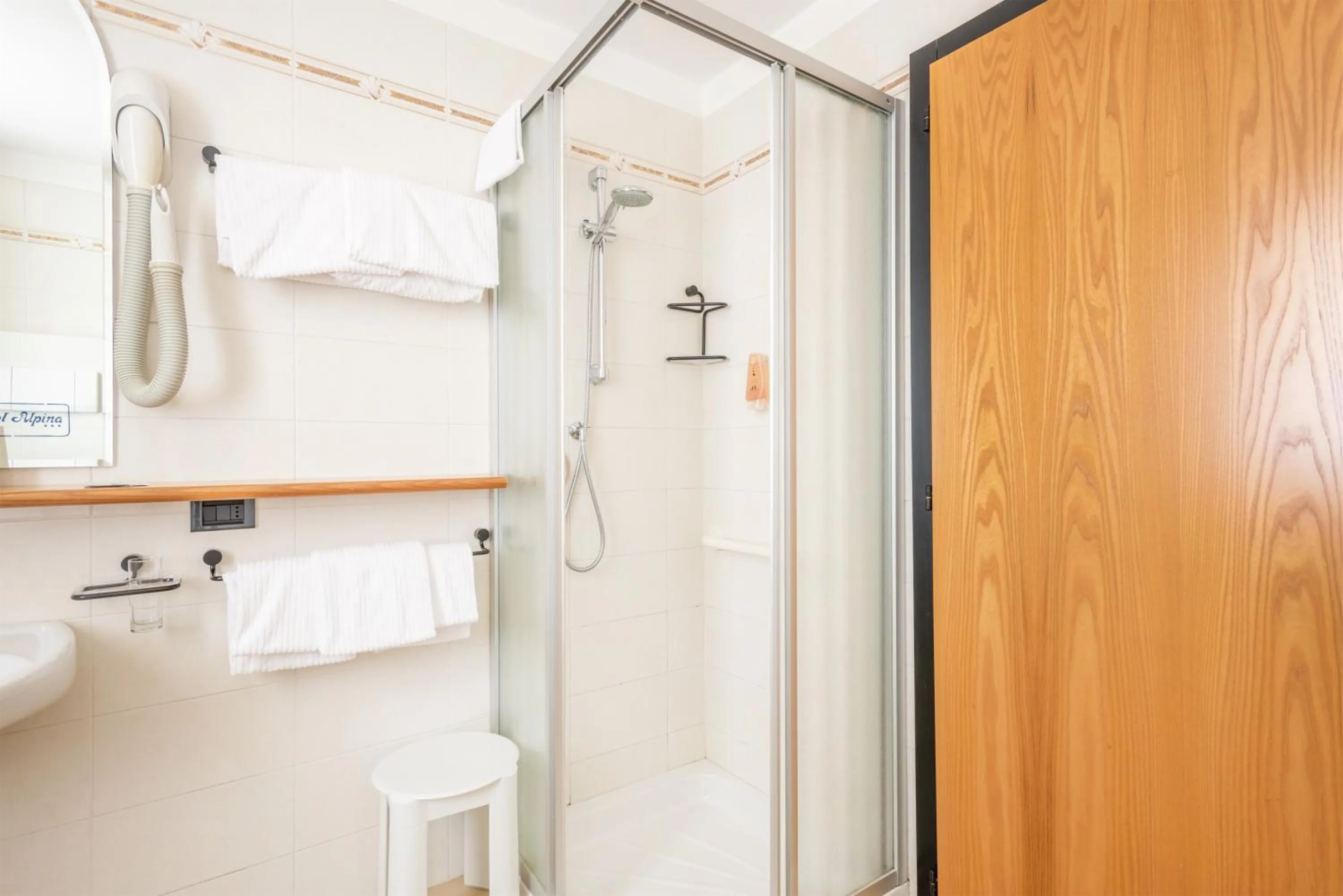 Shower in Hotel Alpina