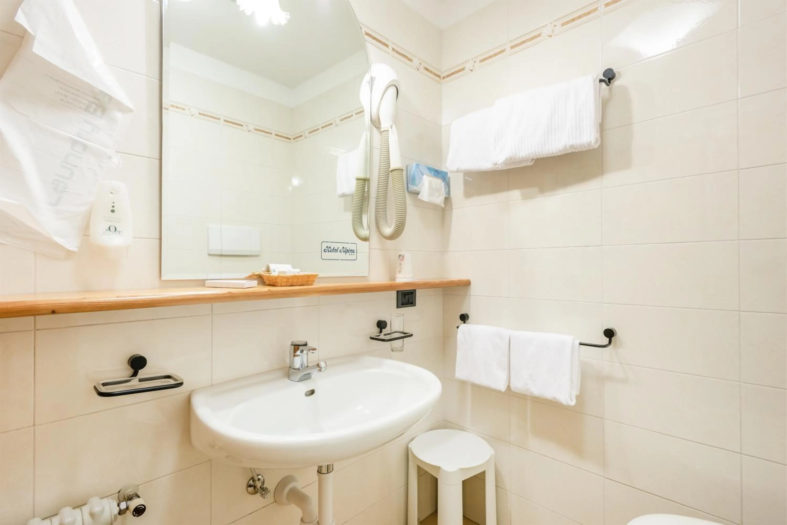 Bathroom in Hotel Alpina