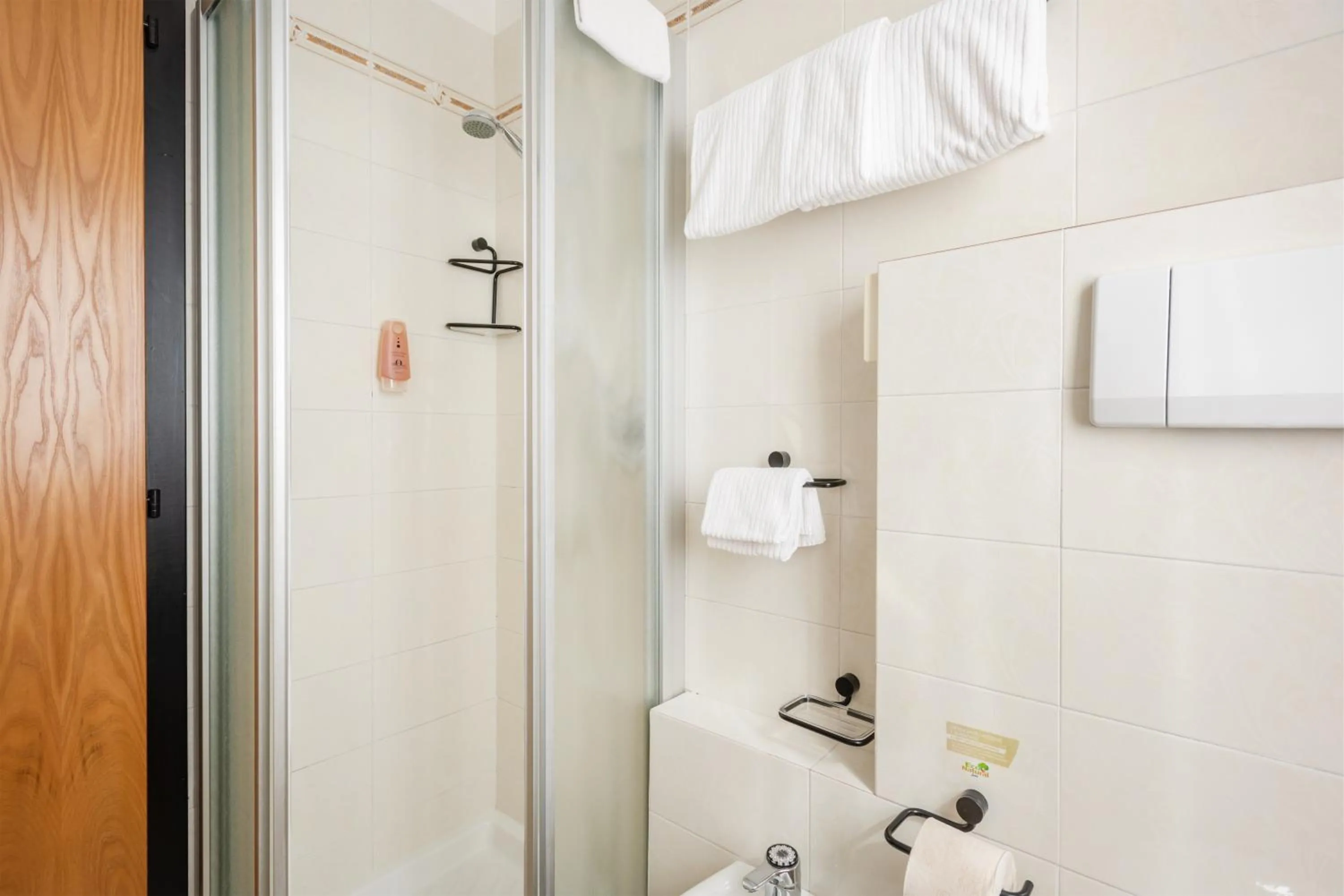 Shower in Hotel Alpina