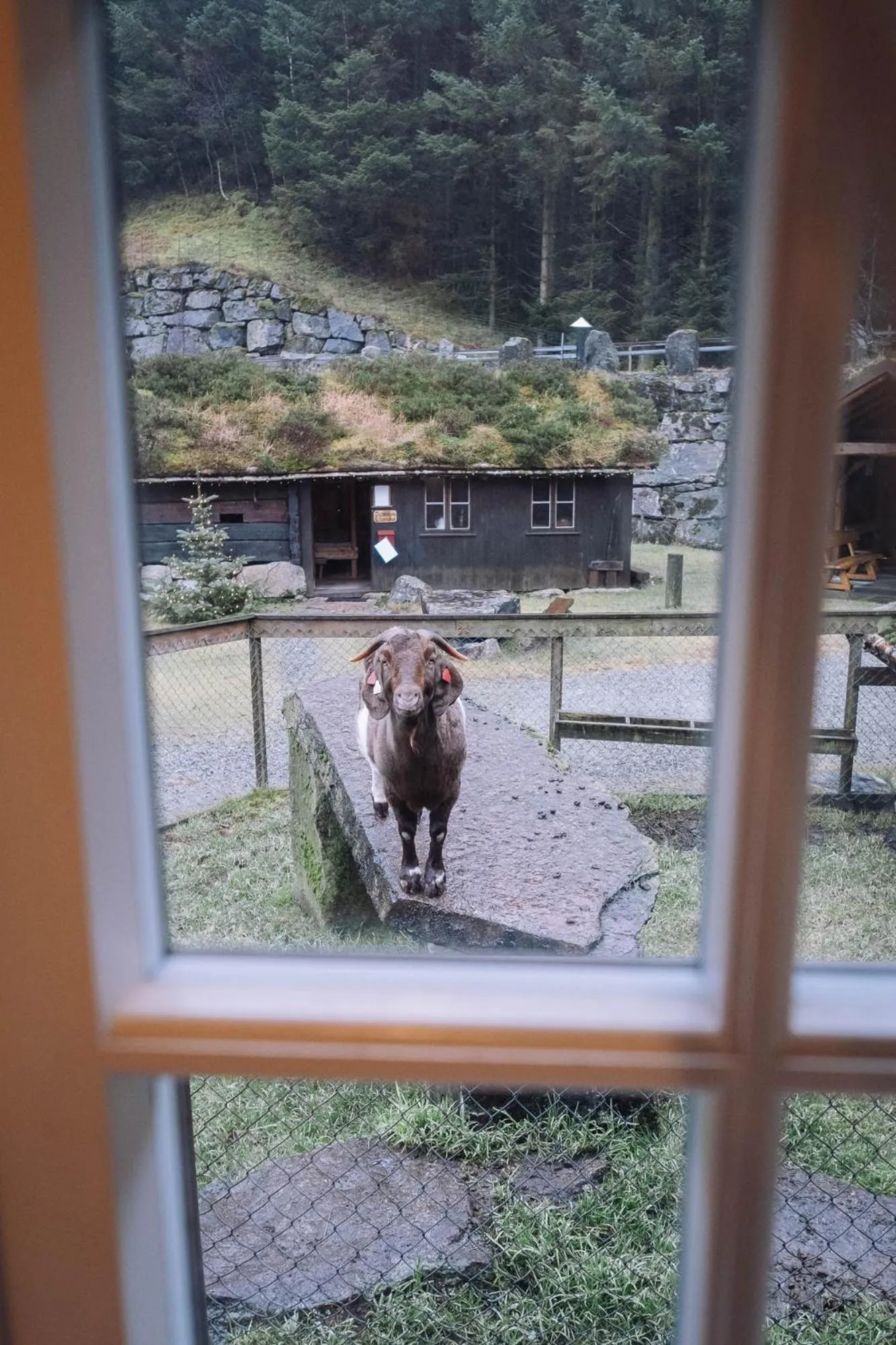 Day in Byrkjedalstunet Hotell