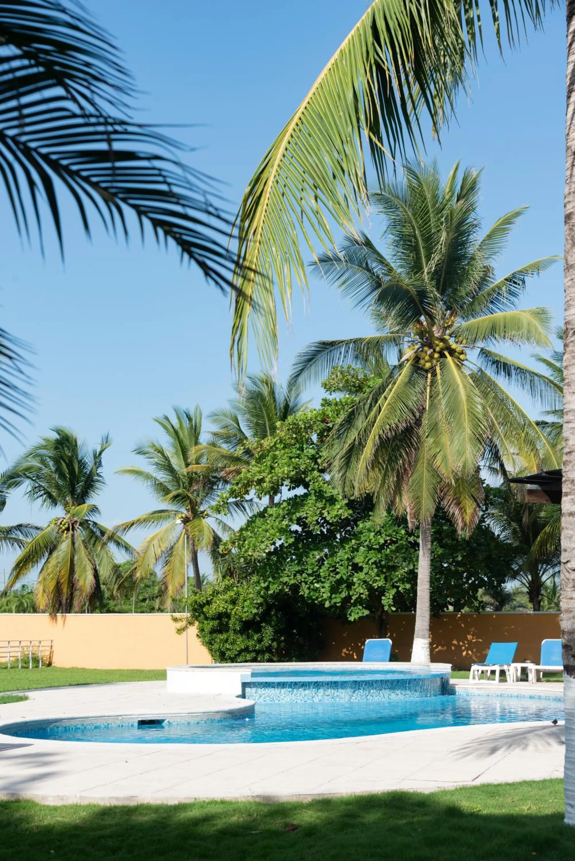 Garden view in Hotel Cayman Suites
