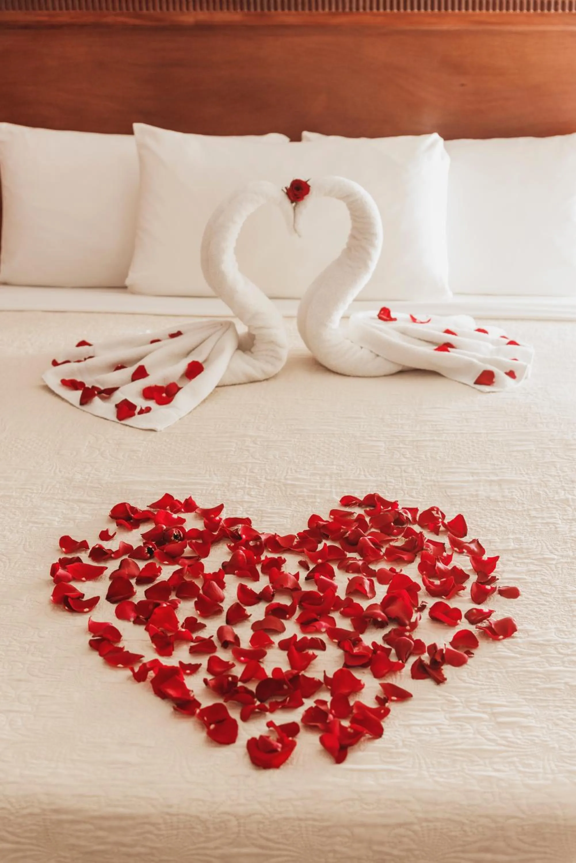 Bedroom, Bed in Hotel Cayman Suites