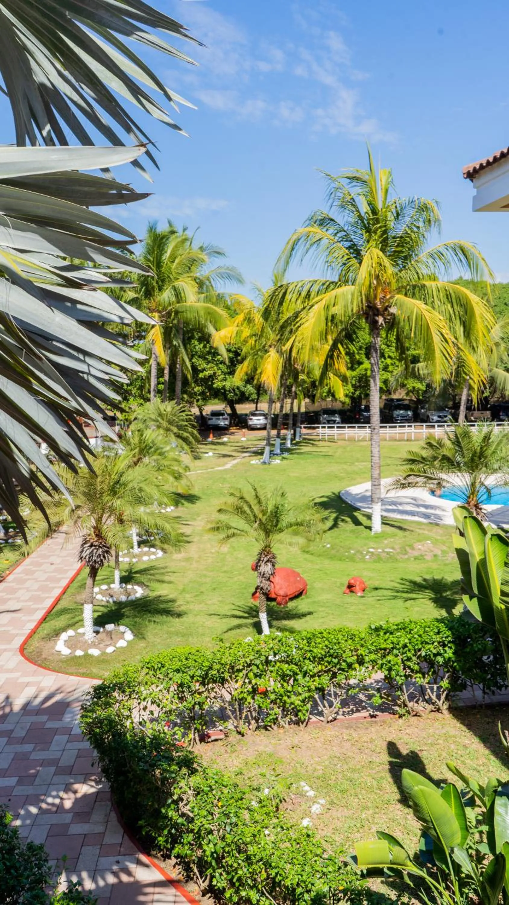 Swimming pool in Hotel Cayman Suites
