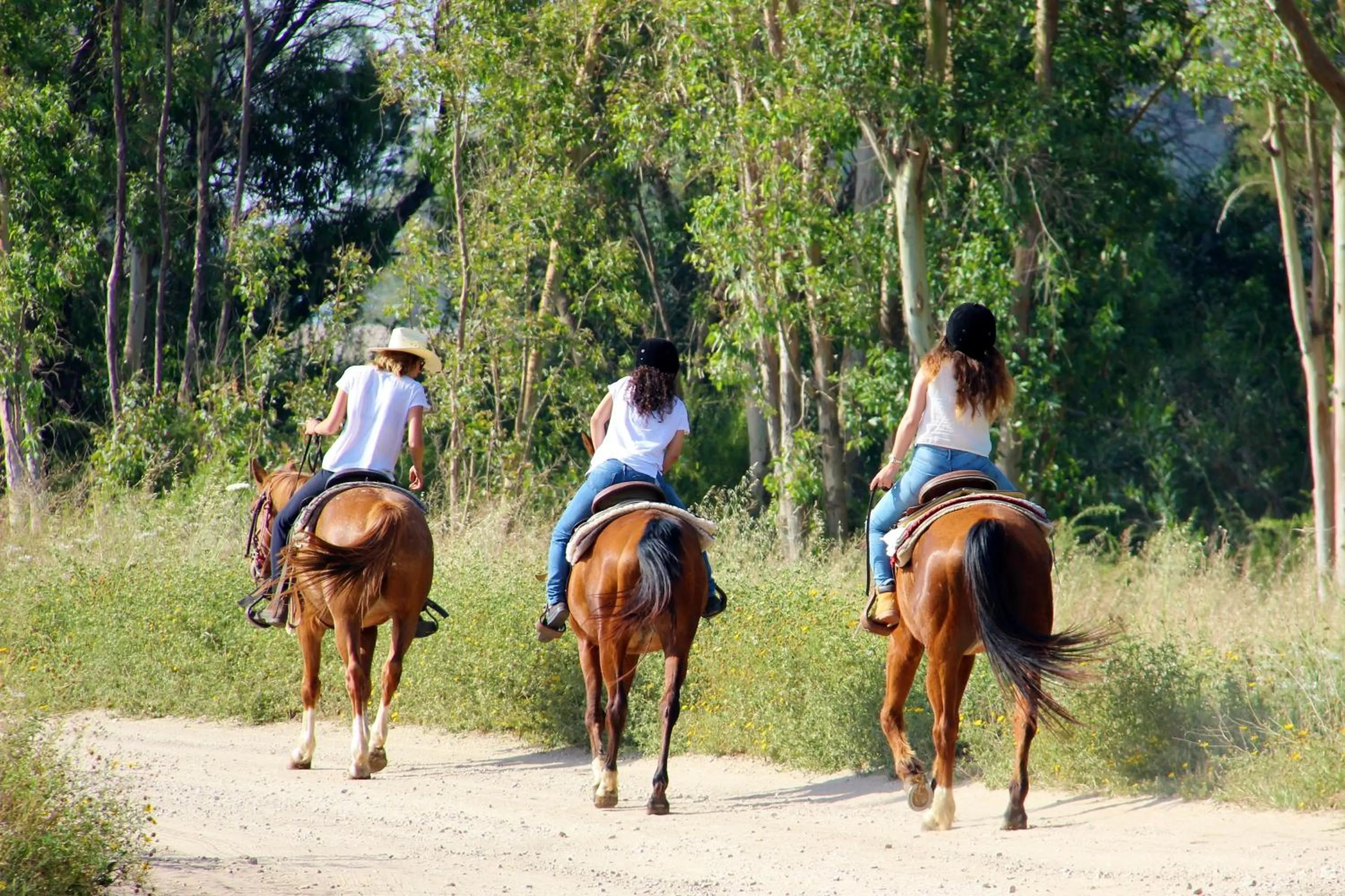Horse-riding in Sa Ramadura