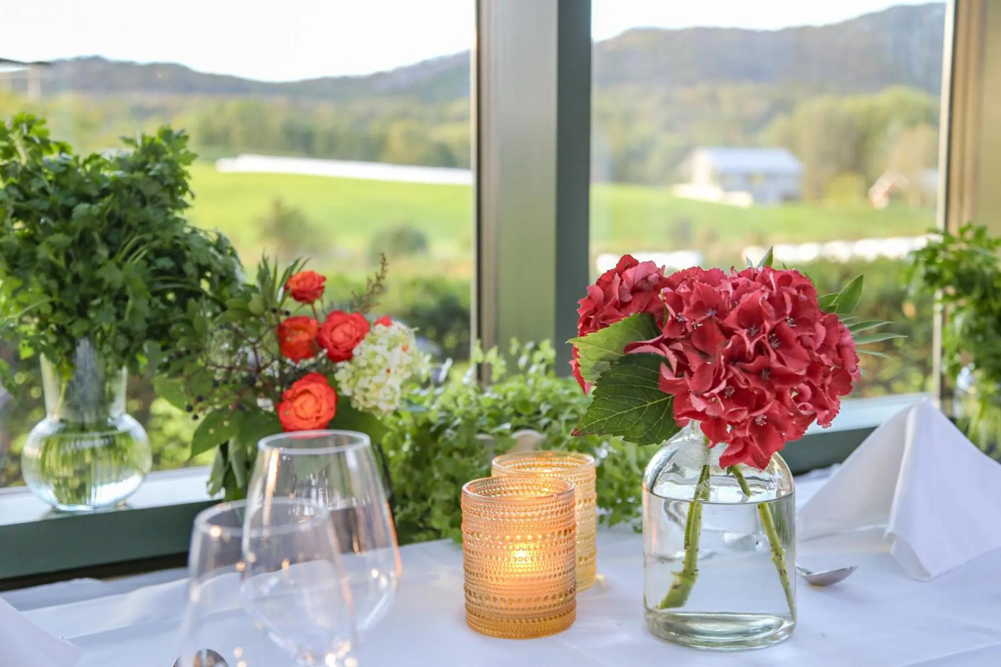 Garden in Kronen Gaard Hotel