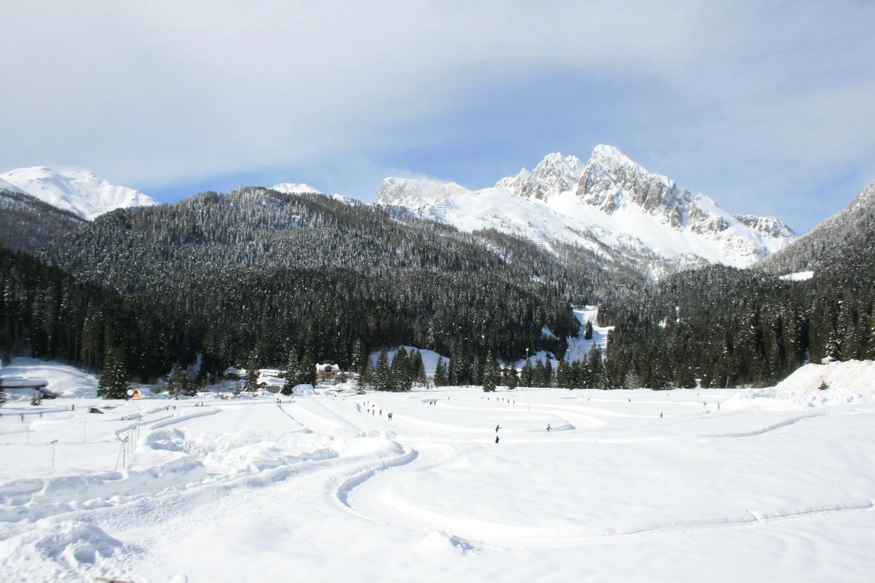 Natural landscape in Hotel Vienna