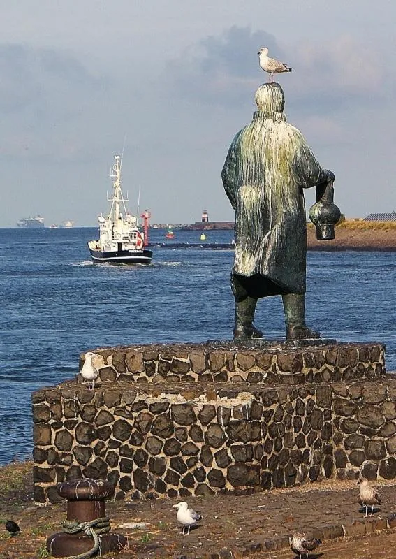 Area and facilities in Hotel Velsen