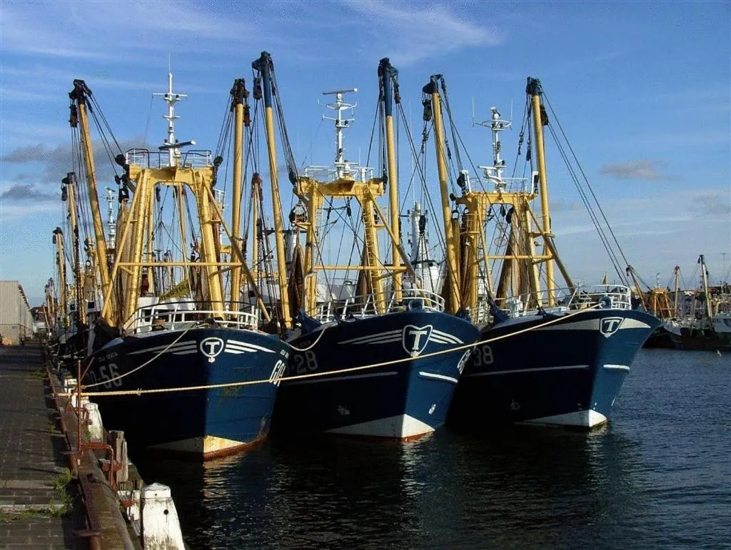 Area and facilities in Hotel Velsen