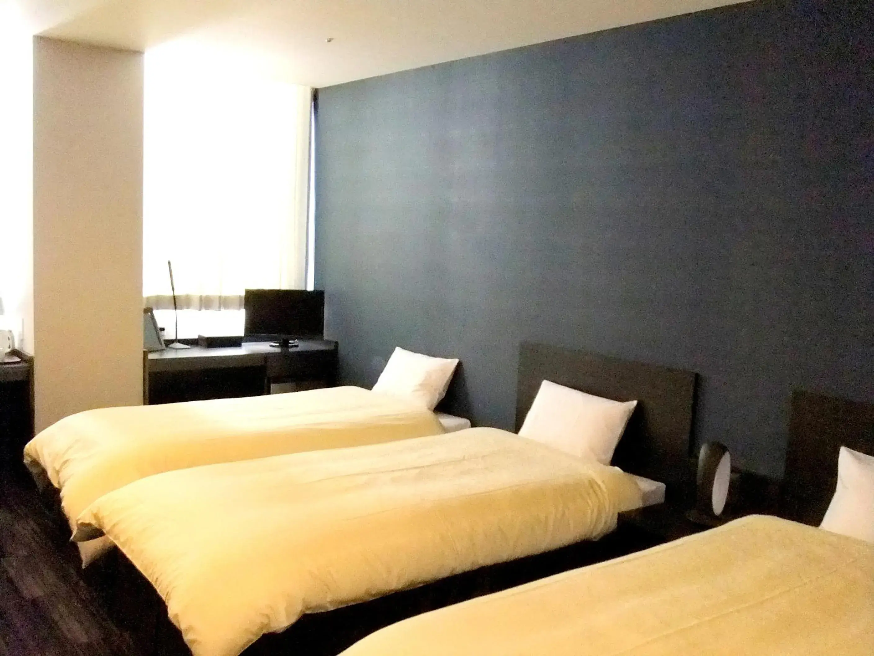 Twin Room - single occupancy in The Premium Hotel In Rinku Twin Room - single occupancy in The Premium Hotel In Rinku