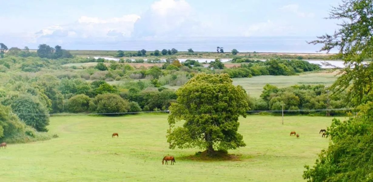 Garden in Tinakilly Country House Hotel