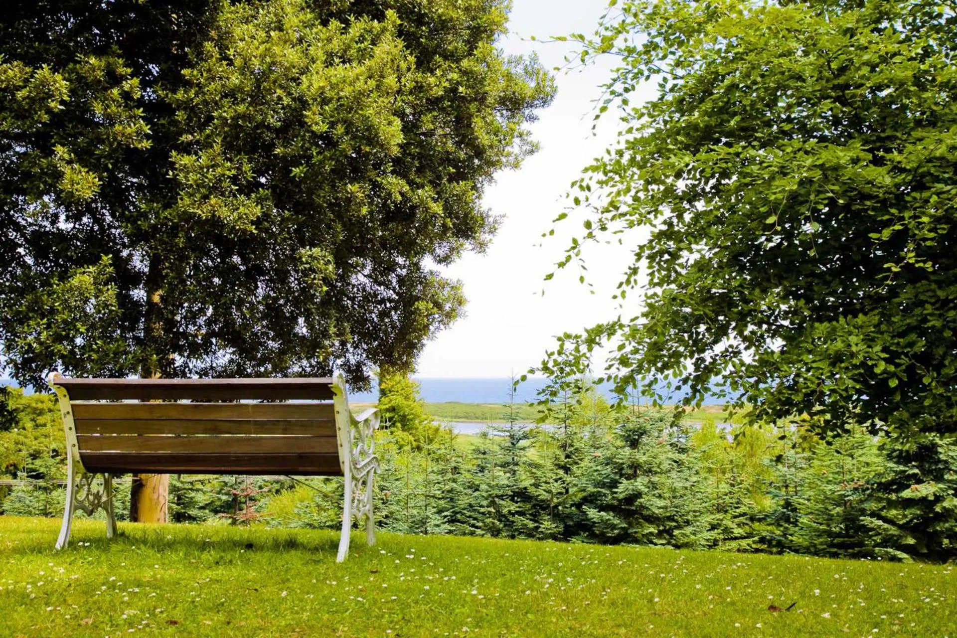 Garden in Tinakilly Country House Hotel