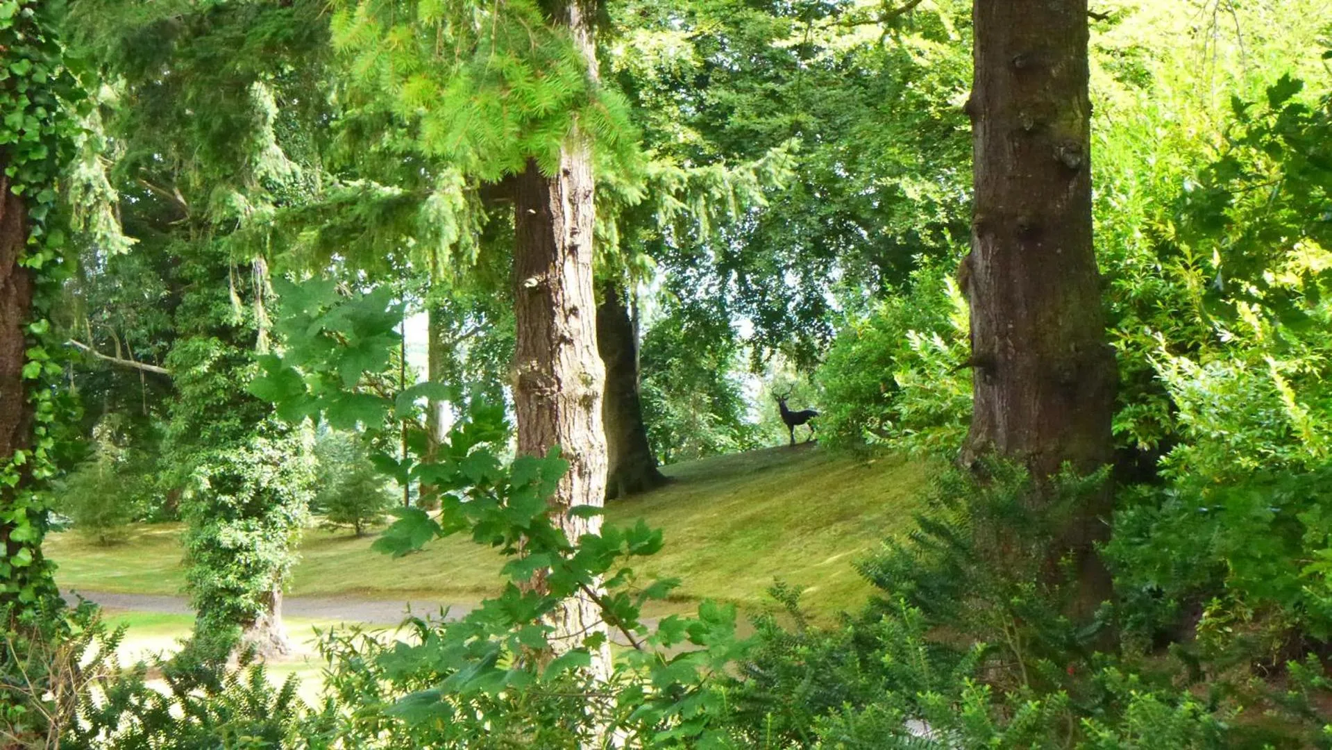 Garden in Tinakilly Country House Hotel