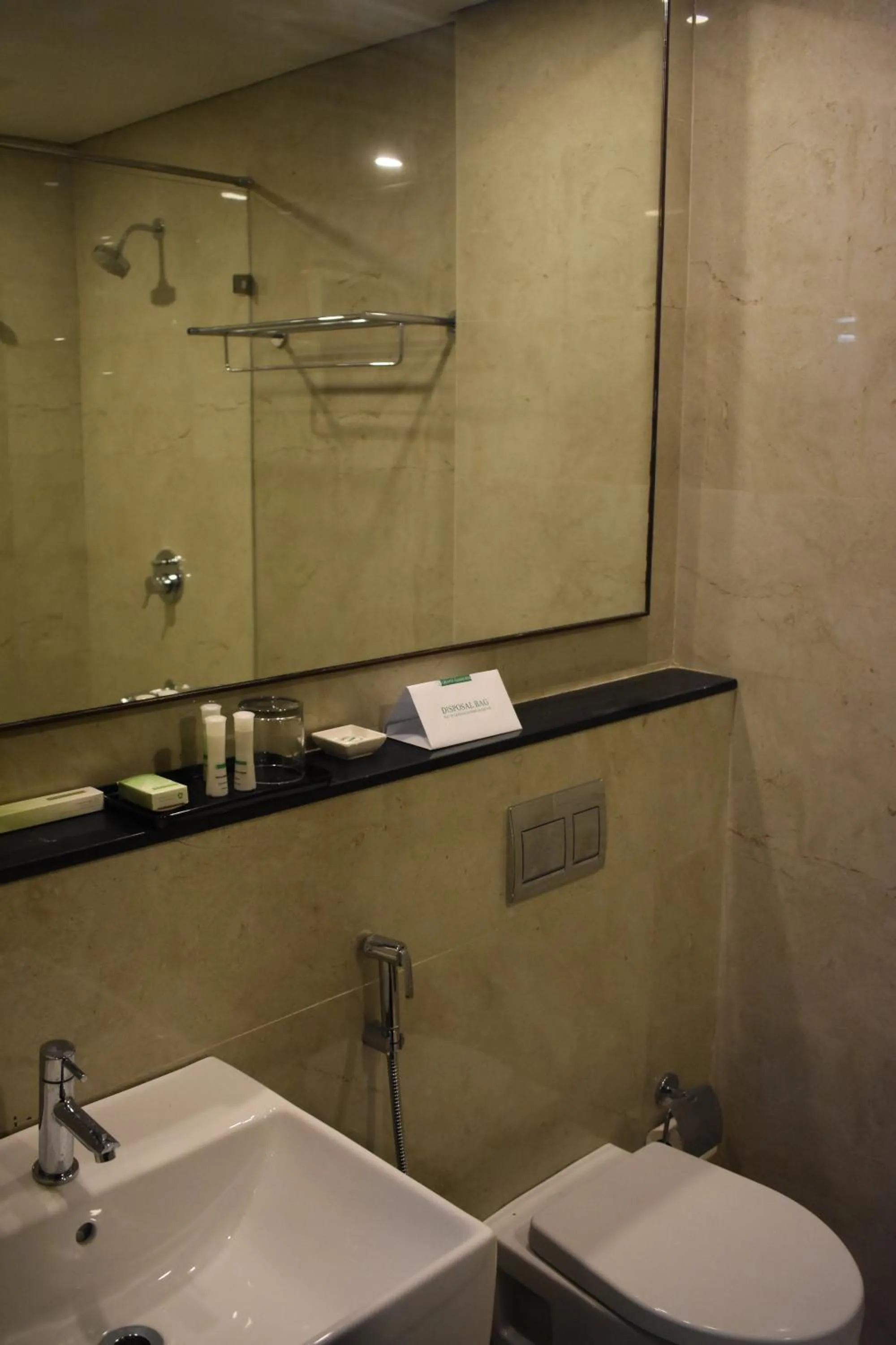 Bathroom in Grand Arcadia