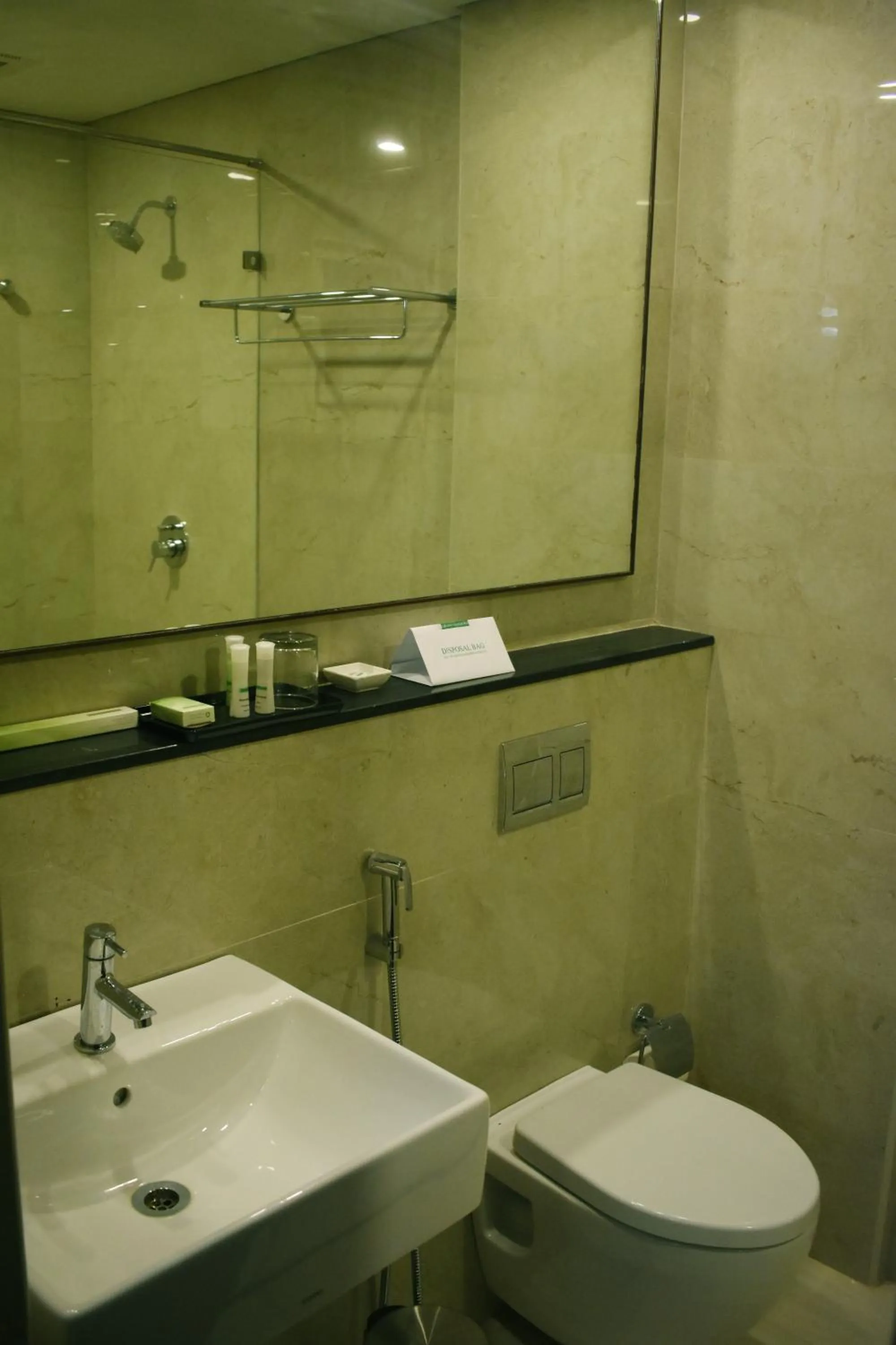 Toilet in Grand Arcadia