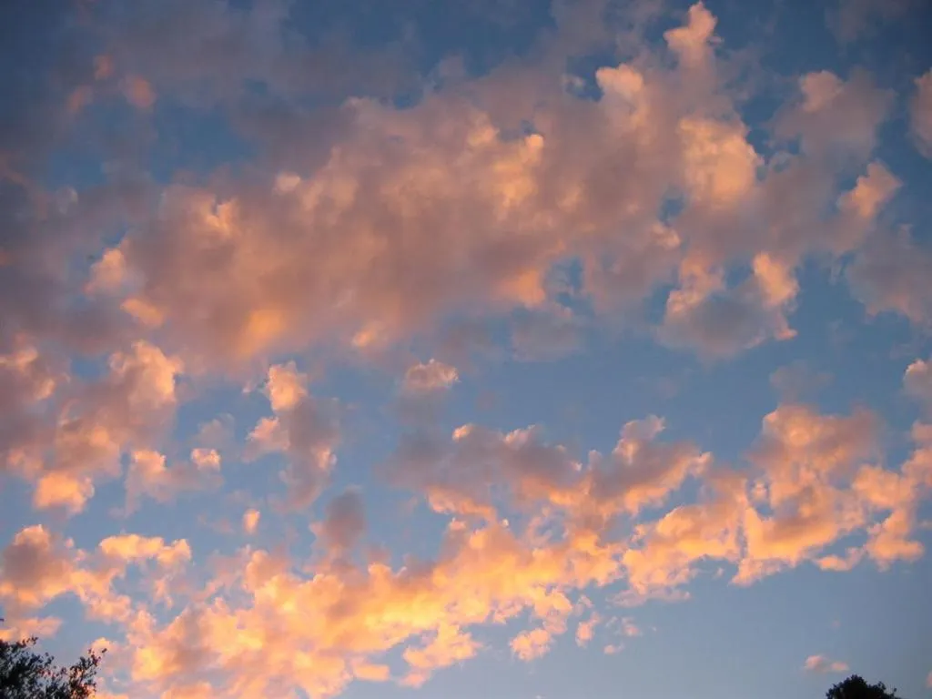 View (from property/room) in Chateau de la Rue