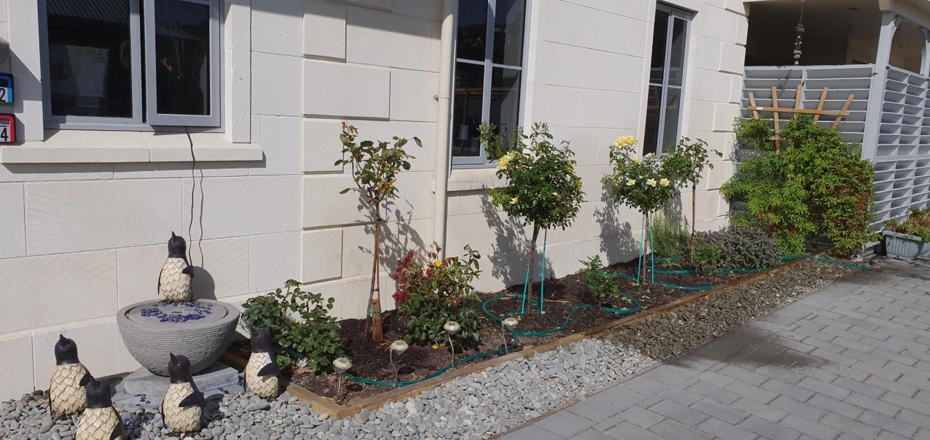 Garden in THE MEWS Oamaru