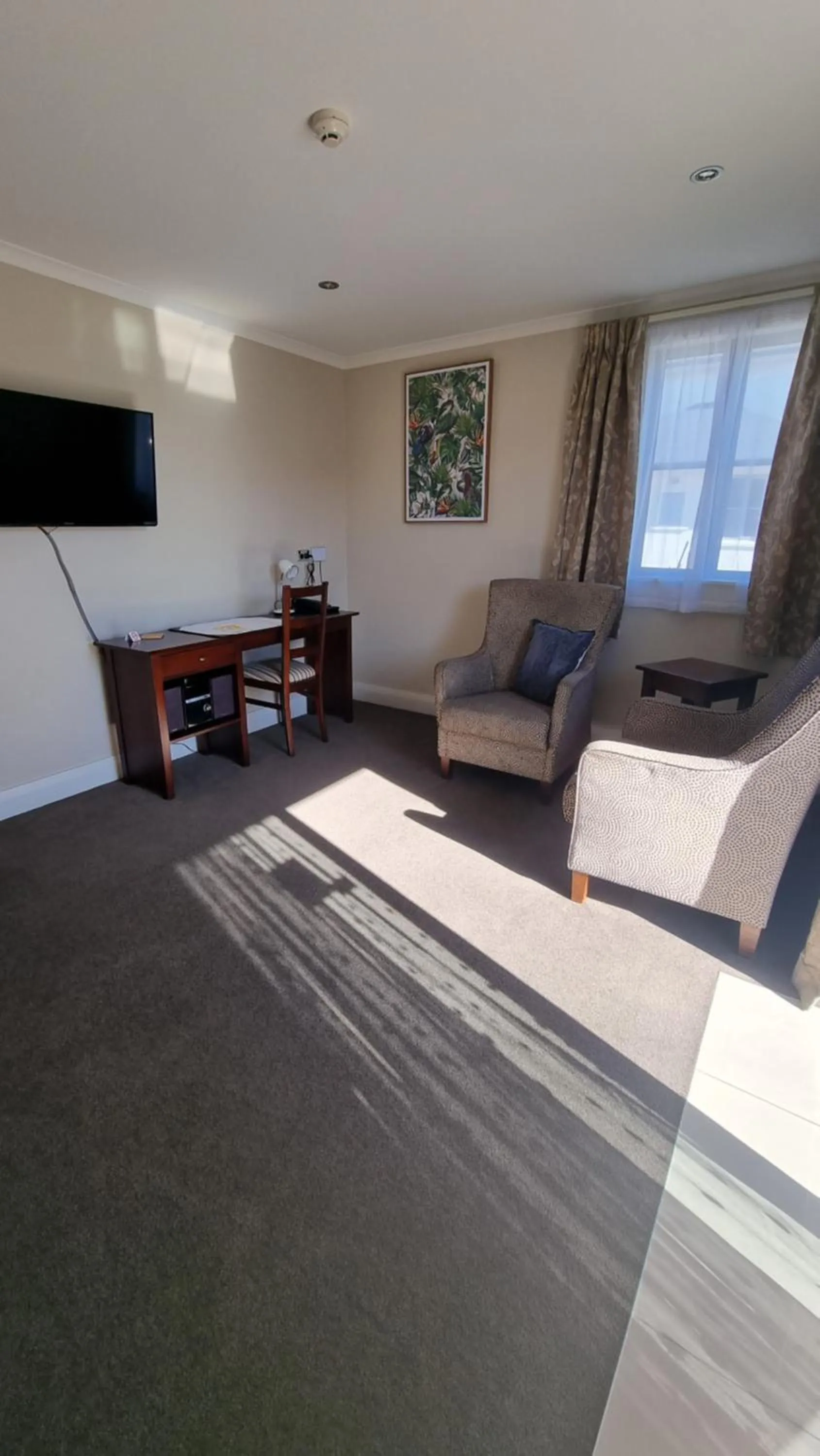 TV and multimedia in THE MEWS Oamaru