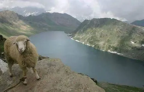 Hiking in S Group Of Houseboat