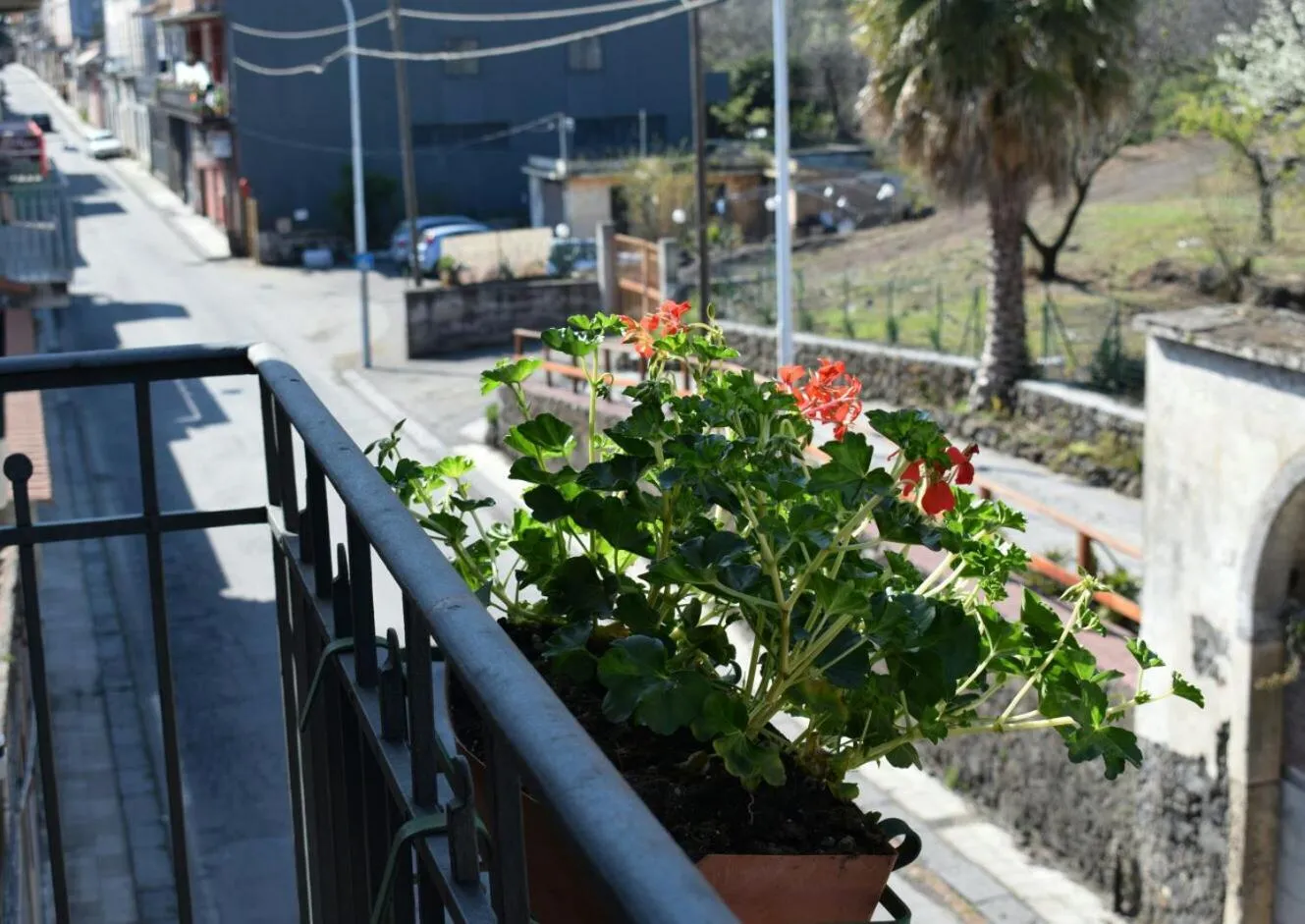 B&B L' Aquila dell' Etna