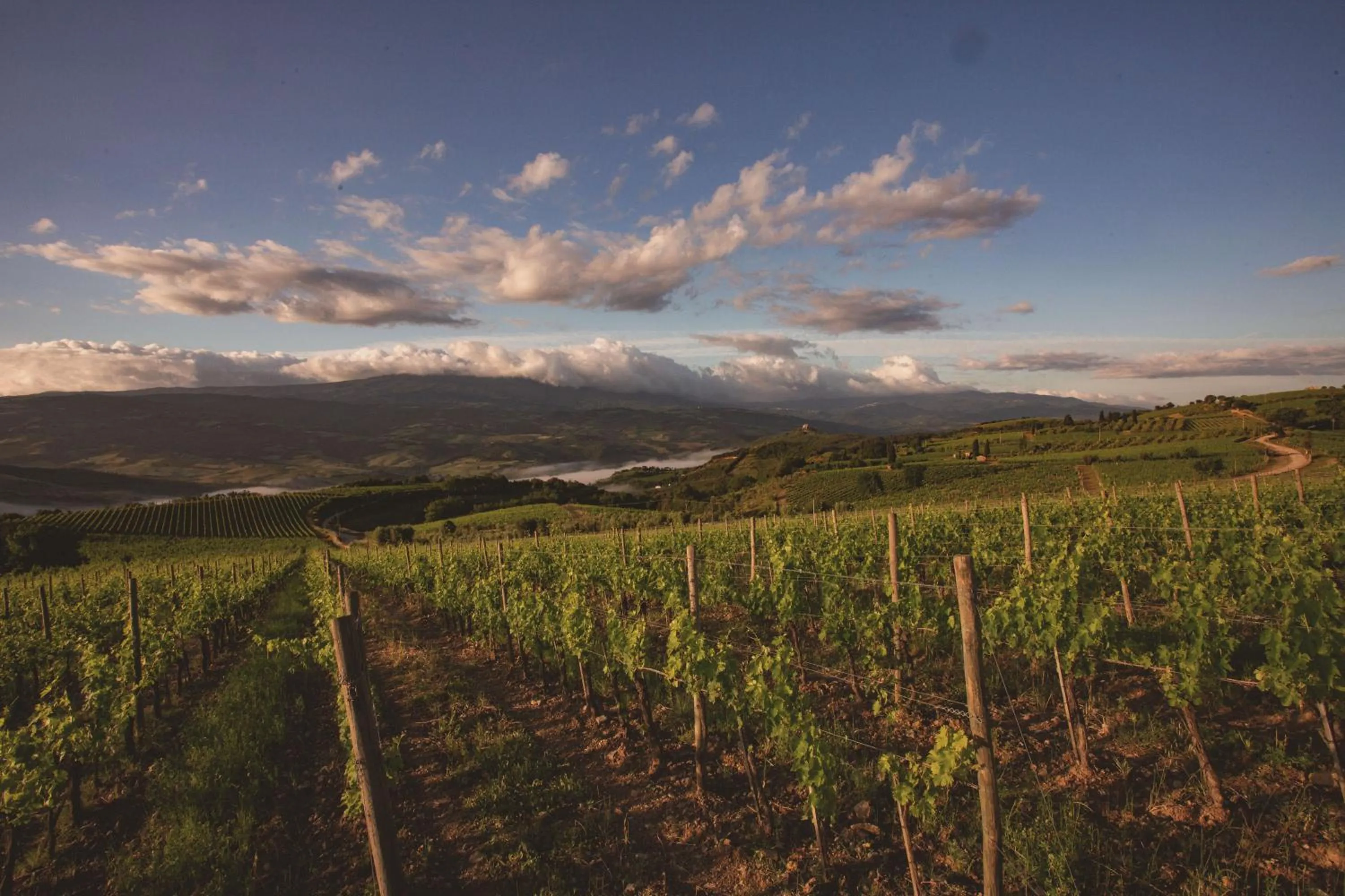 Garden view in Mastrojanni Relais