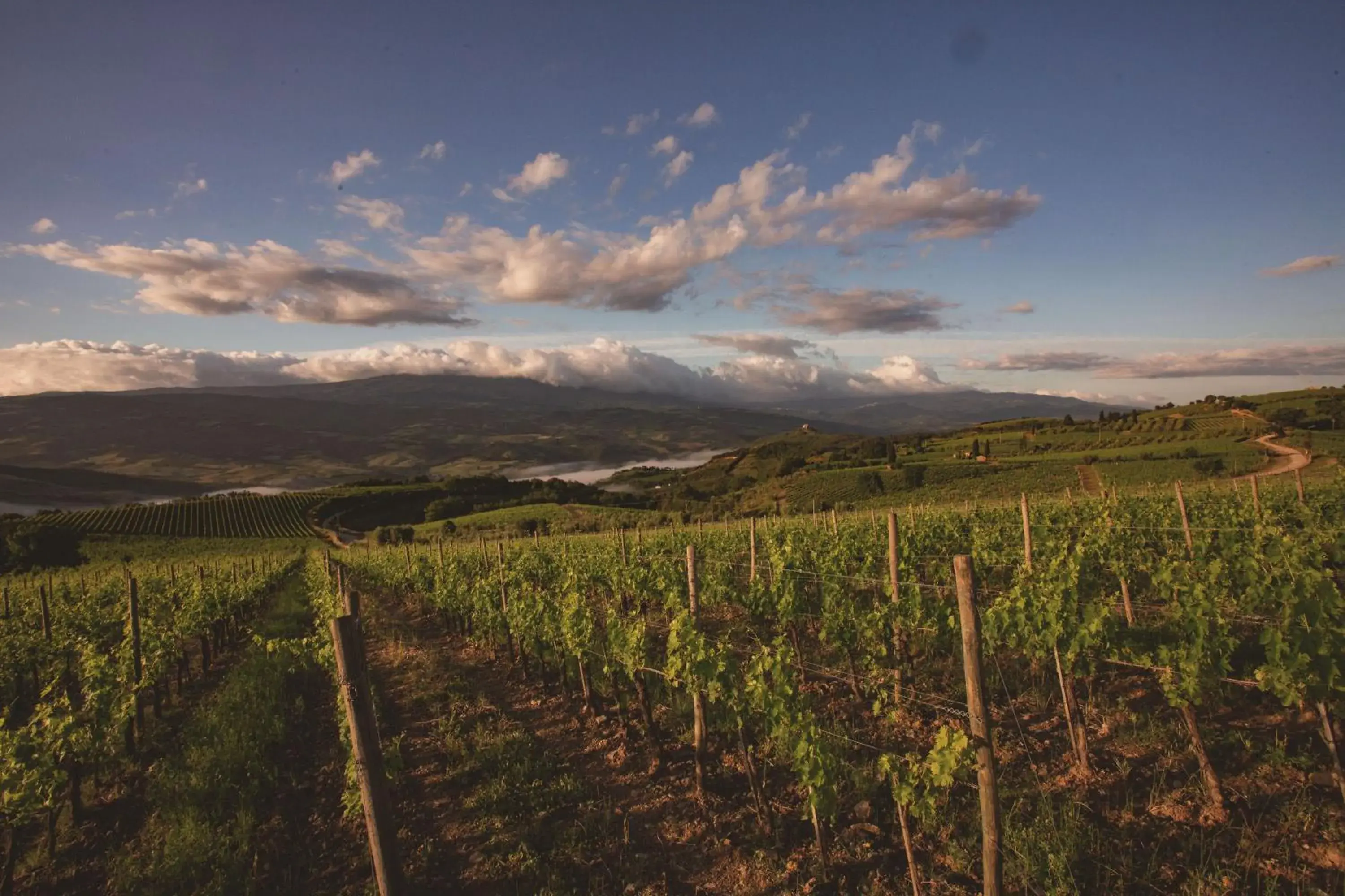 Garden view in Mastrojanni Relais Garden view in Mastrojanni Relais