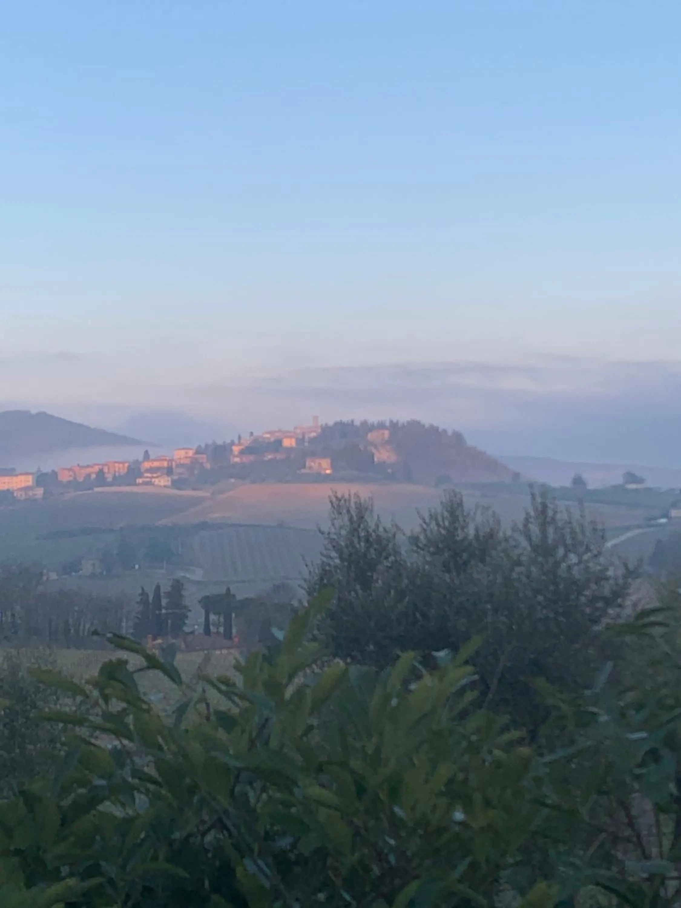 Garden in Relais Santa Cristina