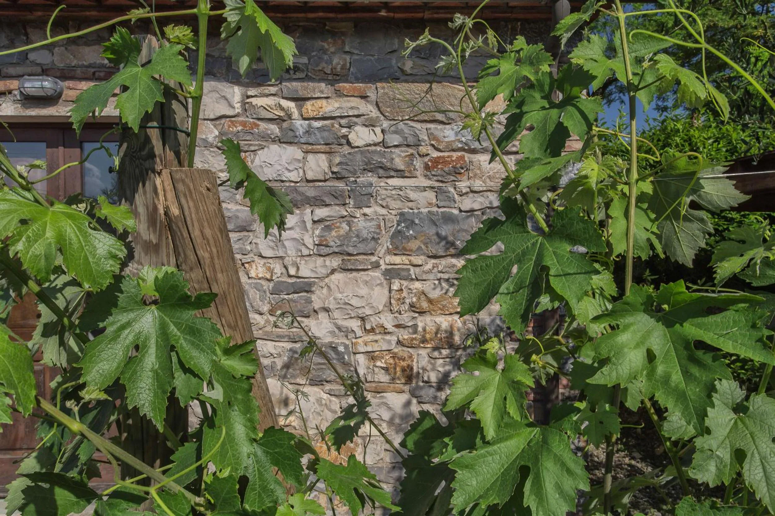 Decorative detail in Relais Santa Cristina