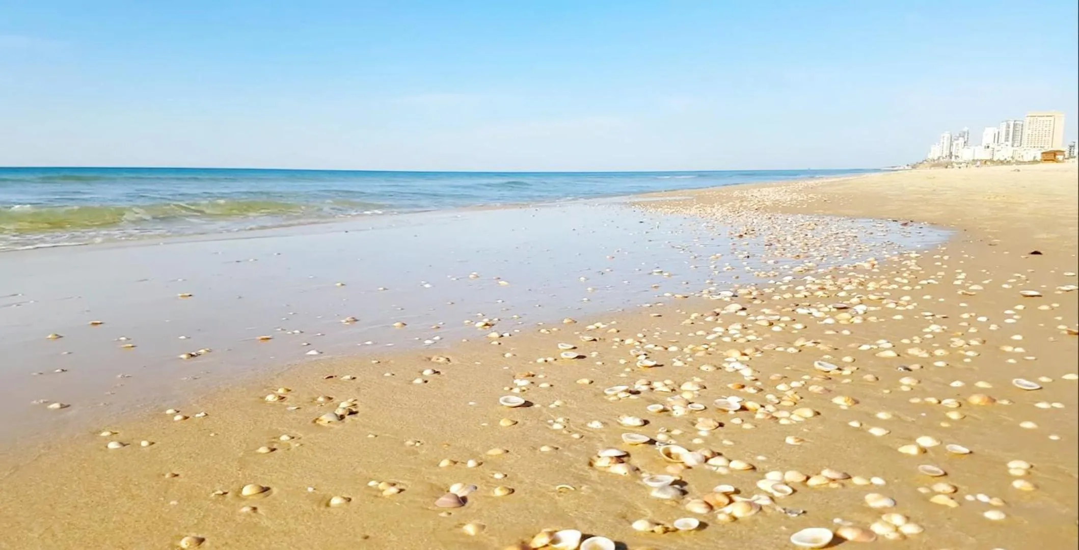 Beach in Beachfront Studio Apartment Bat Yam 412