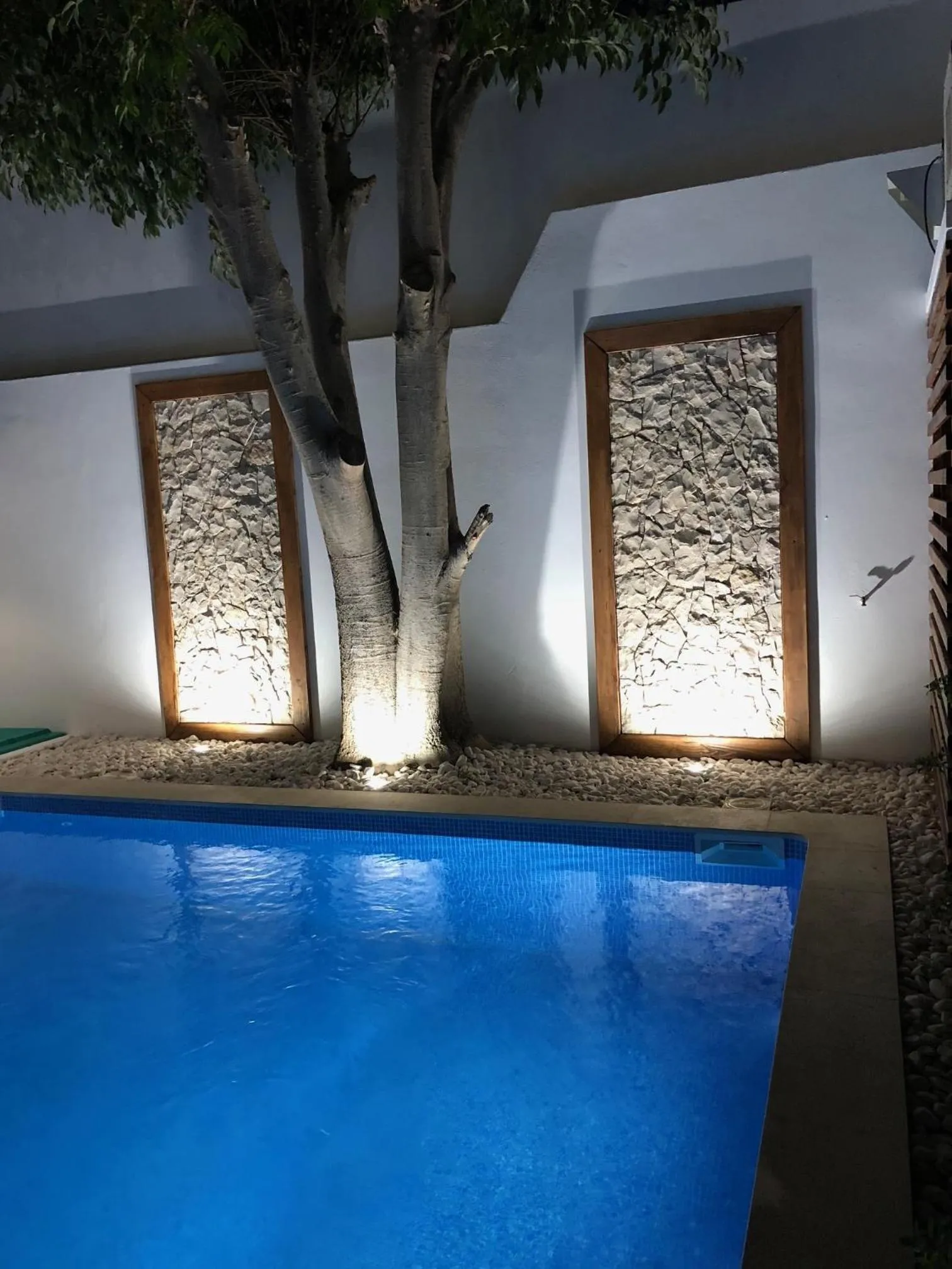 Swimming pool in Villa Rio Guest House Suites