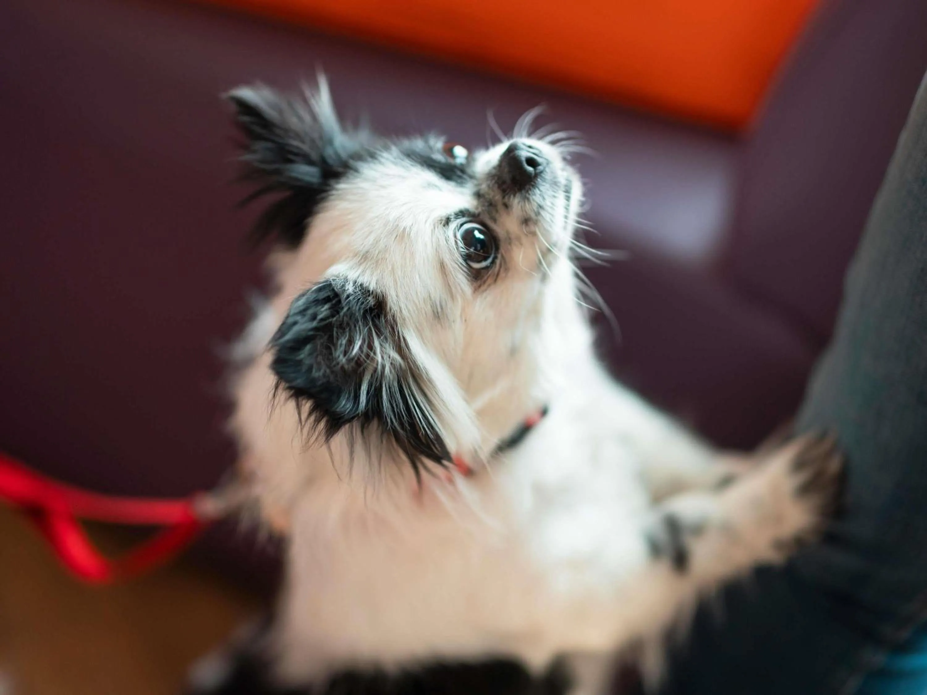 Property building in Hotel ibis Lisboa Saldanha