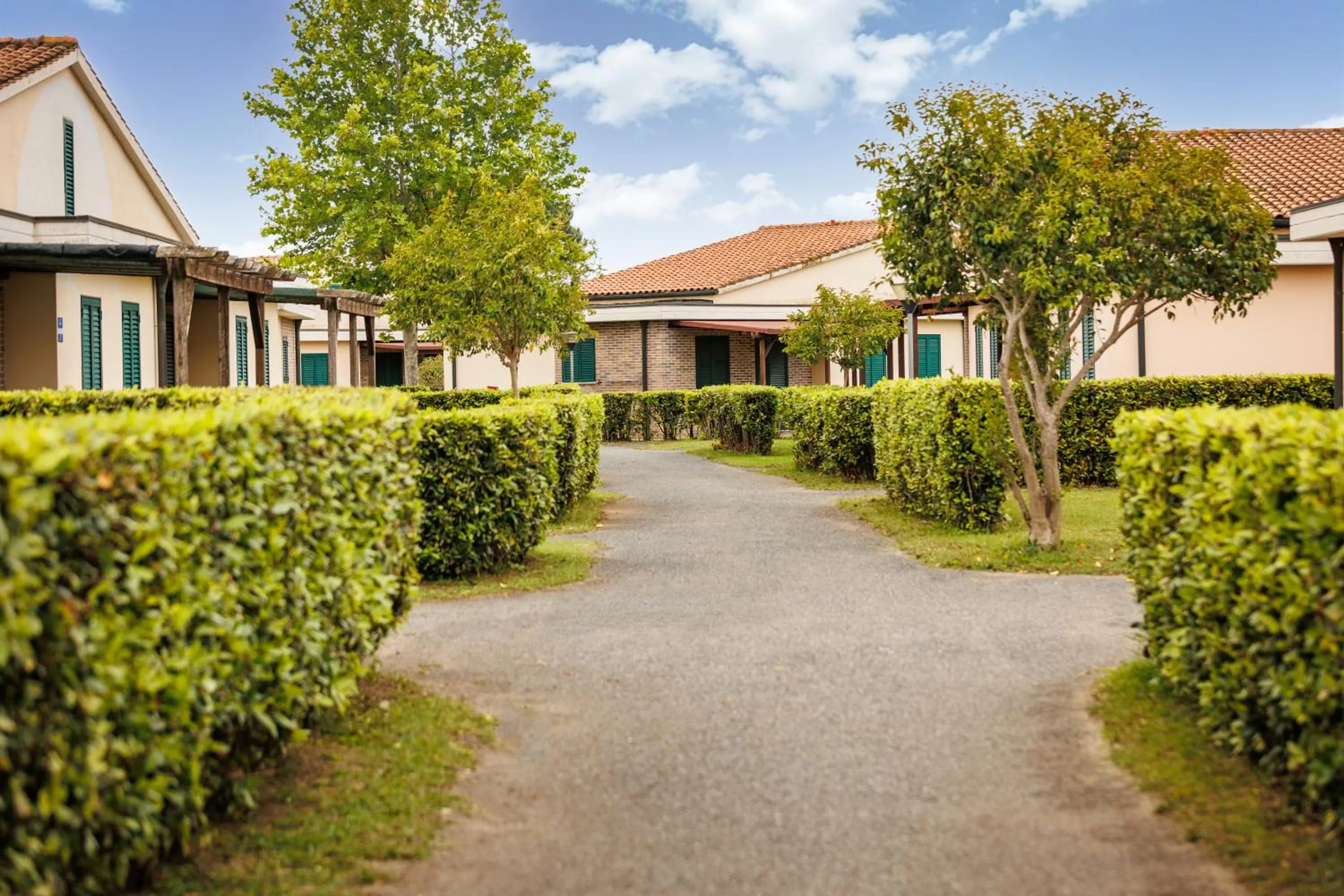 Neighbourhood in Villaggio Turistico La Cecinella