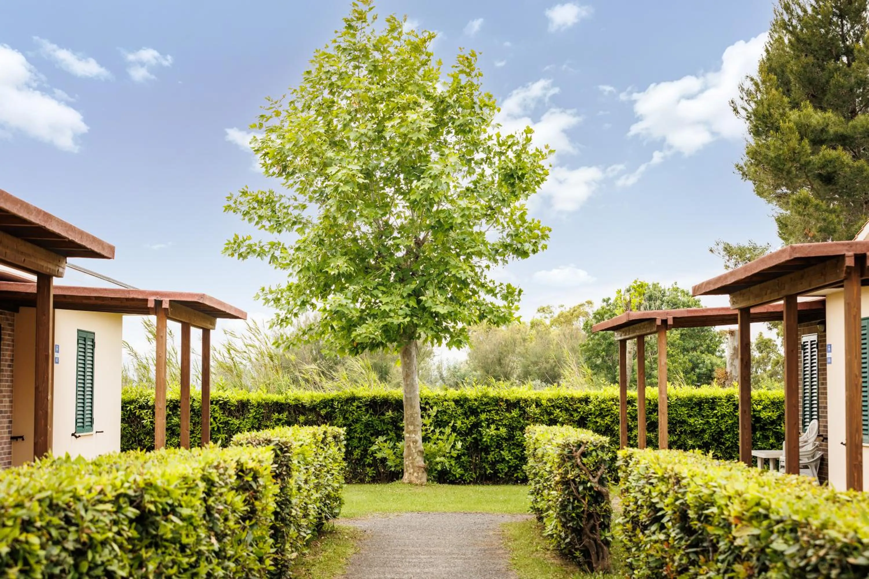 Neighbourhood in Villaggio Turistico La Cecinella