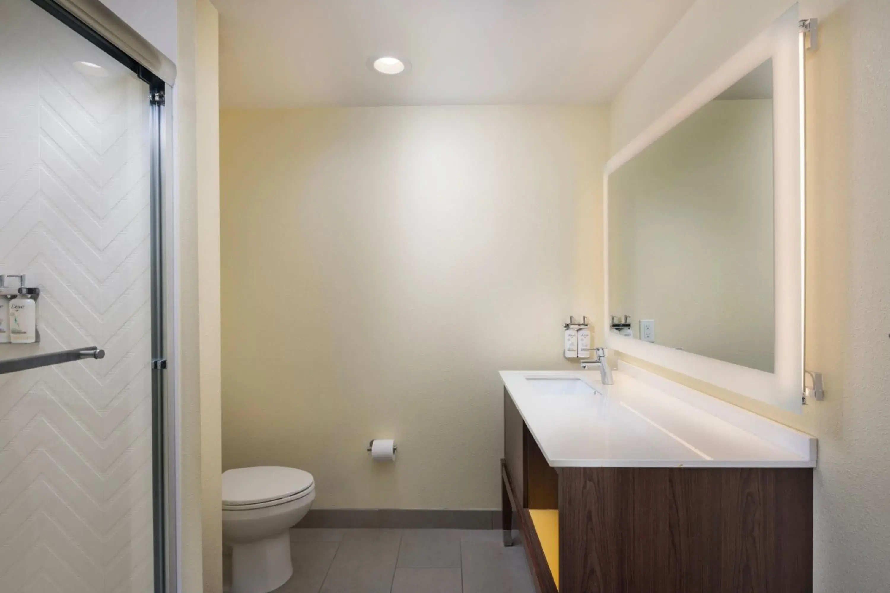 Bathroom in Holiday Inn & Suites Asheville-Biltmore Vlg Area, an IHG Hotel