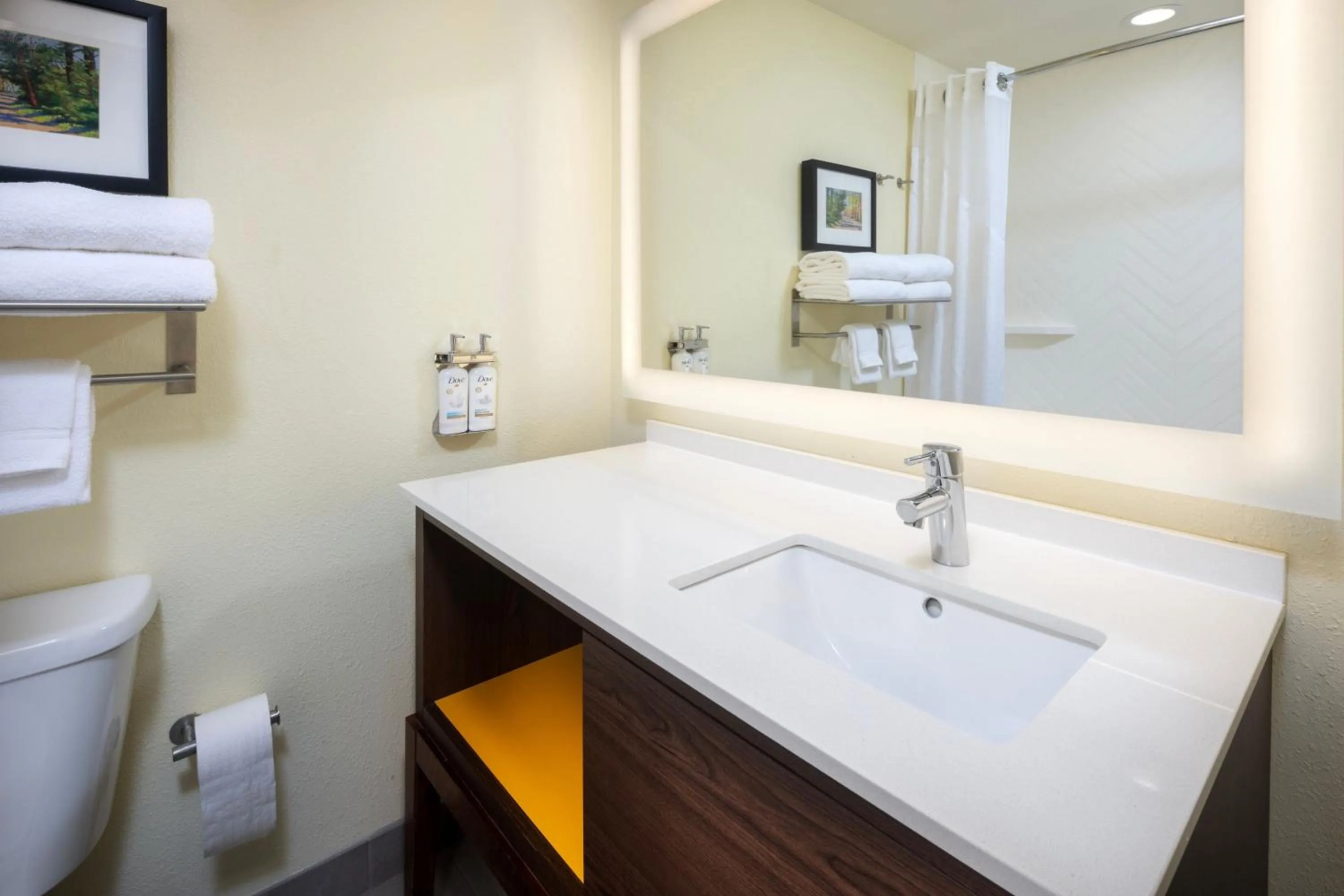 Bathroom in The Scenic Hotel at Biltmore Village