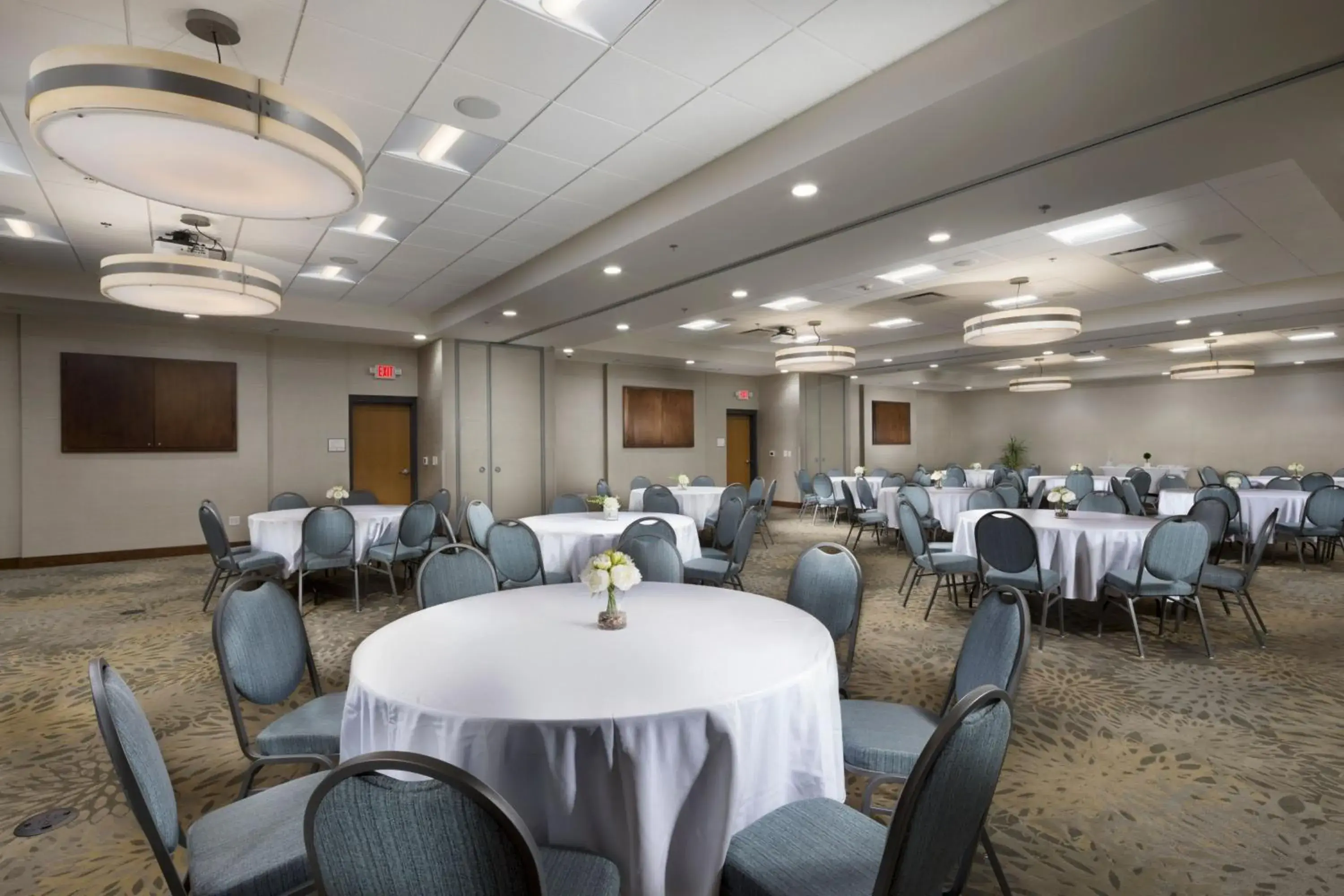 Meeting/conference room, Banquet Facilities in Holiday Inn & Suites Asheville-Biltmore Vlg Area, an IHG Hotel