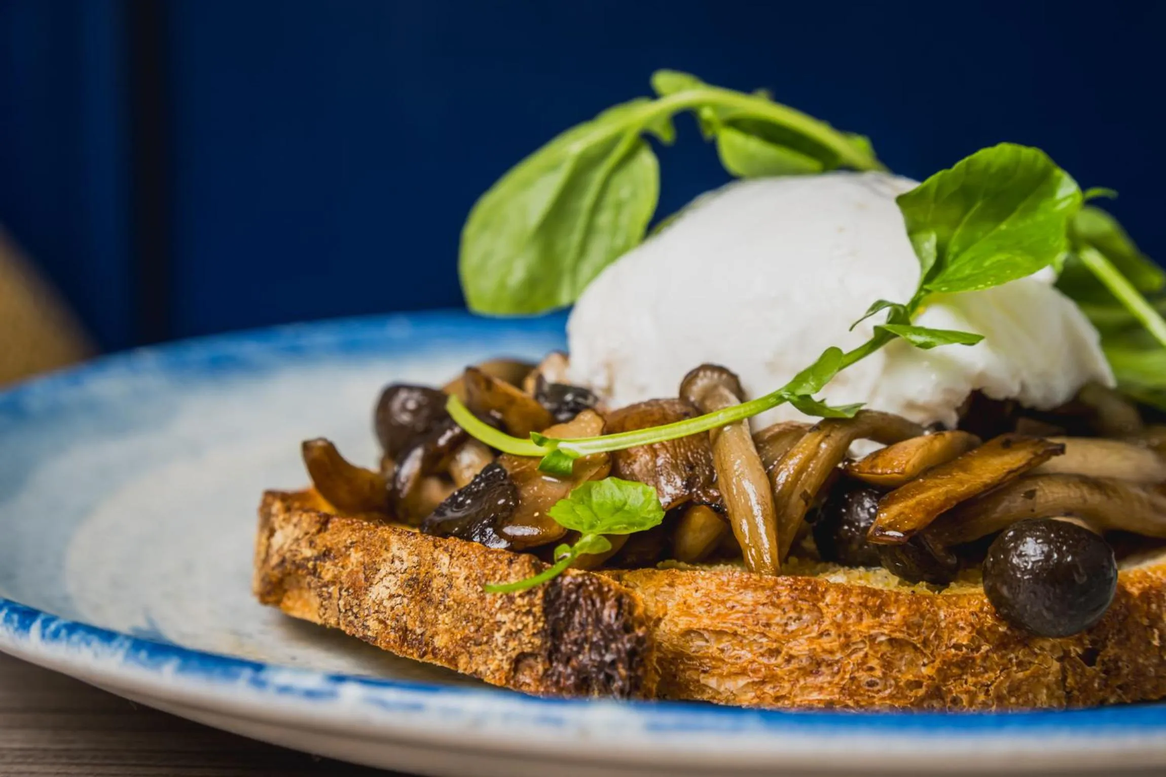 The Headland Hotel & Spa