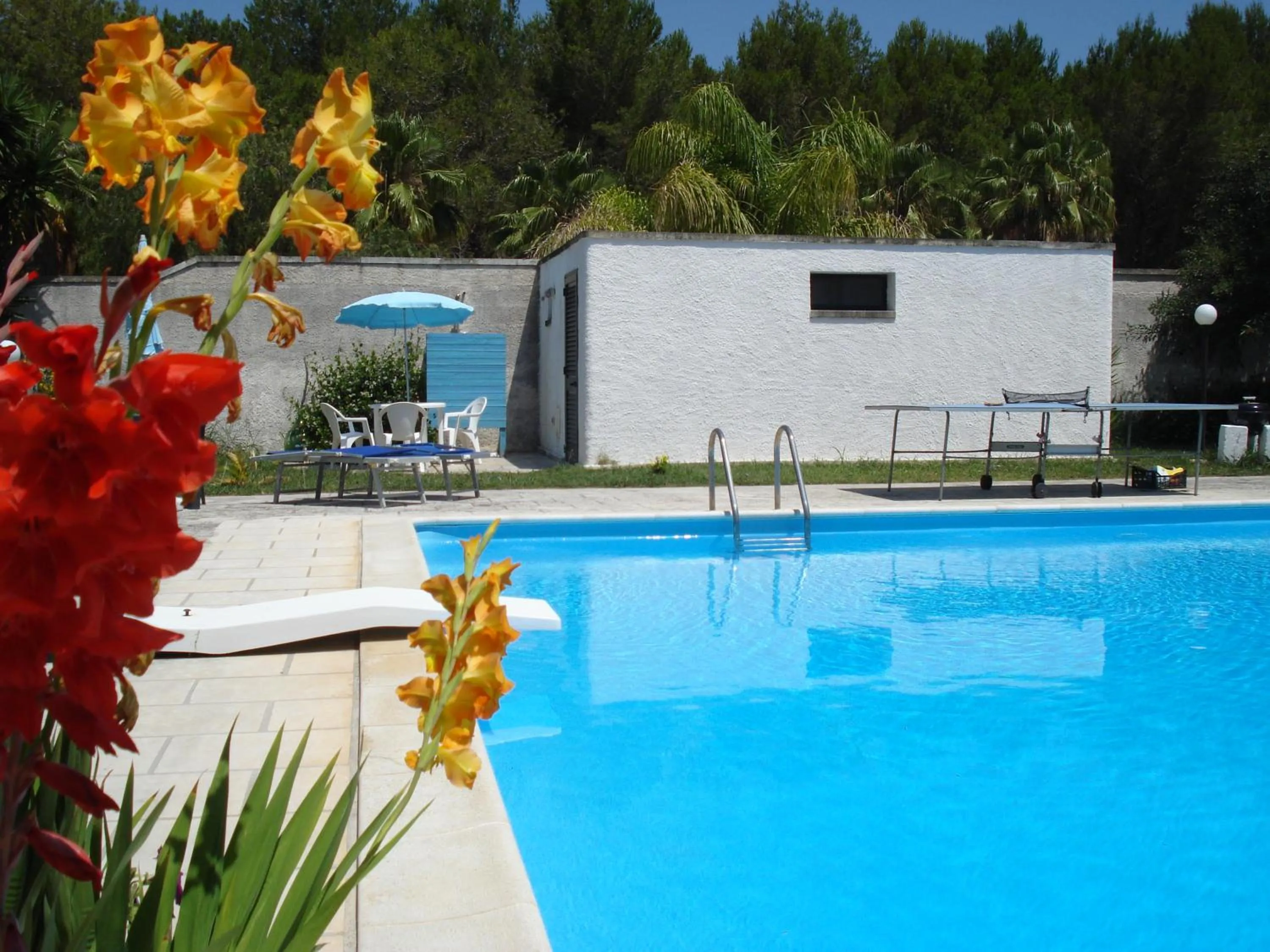 Photo of the whole room in Breezes B&B