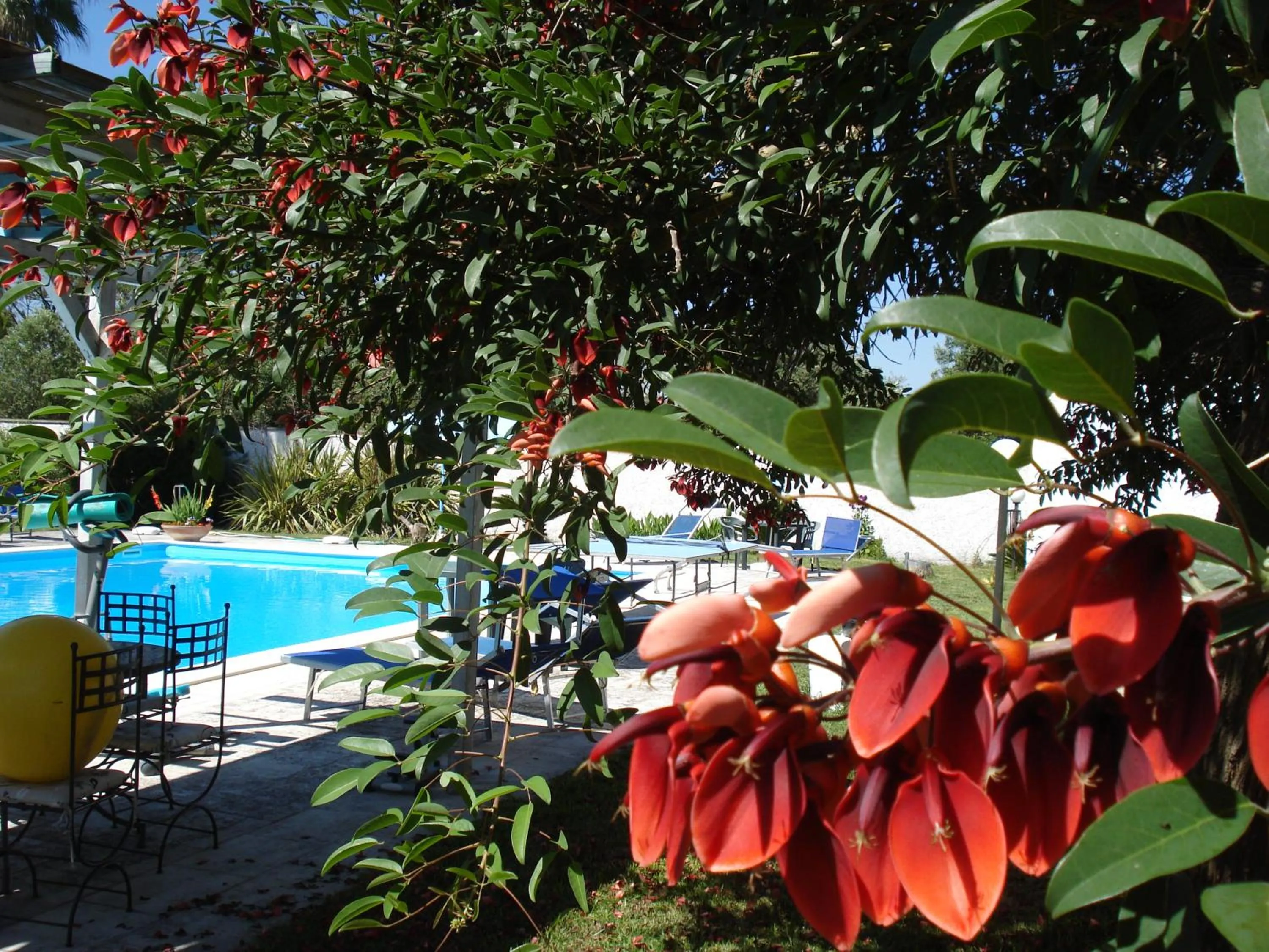 Garden in Breezes B&B