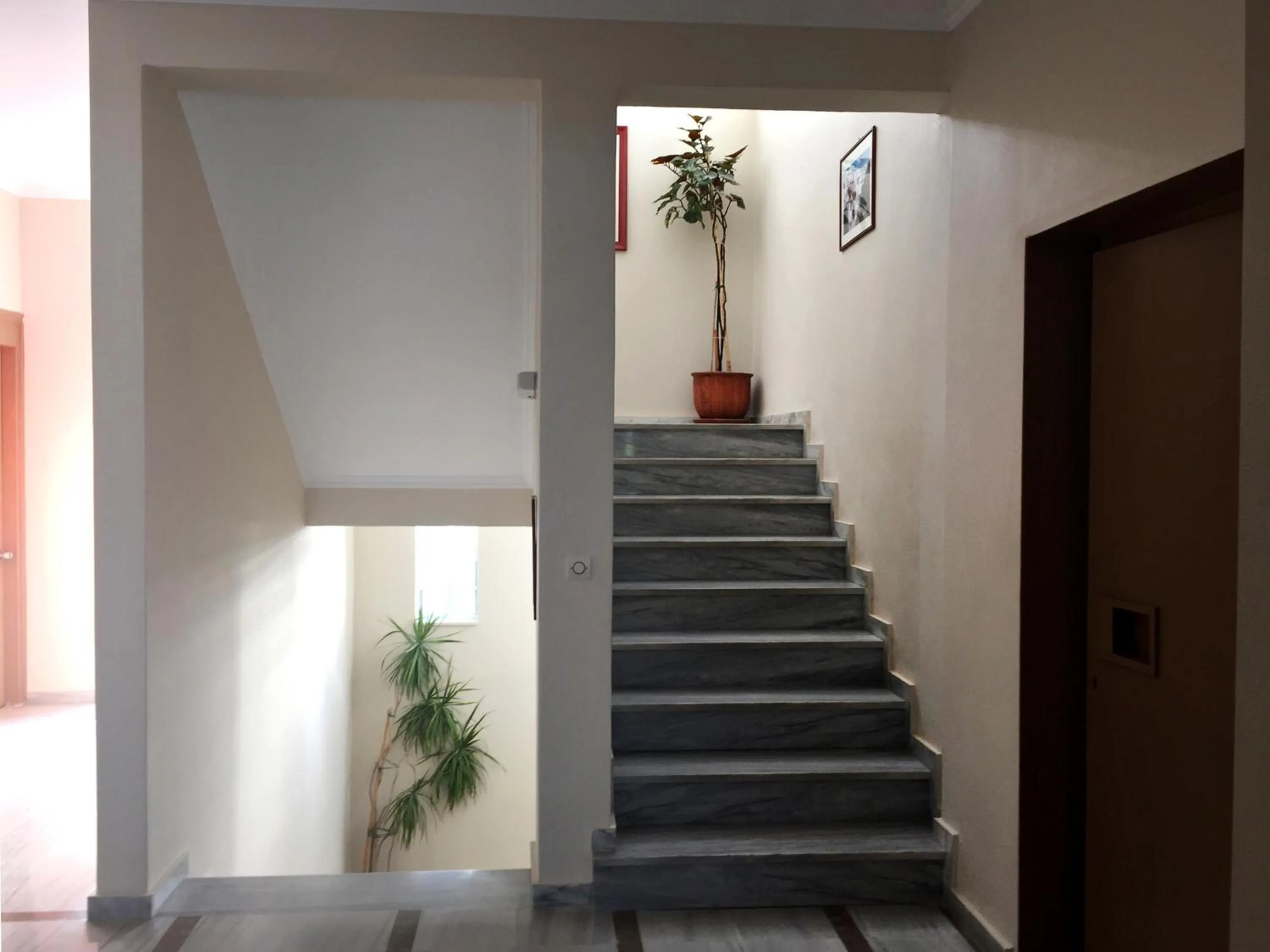 Area and facilities in Hotel Golden Sun