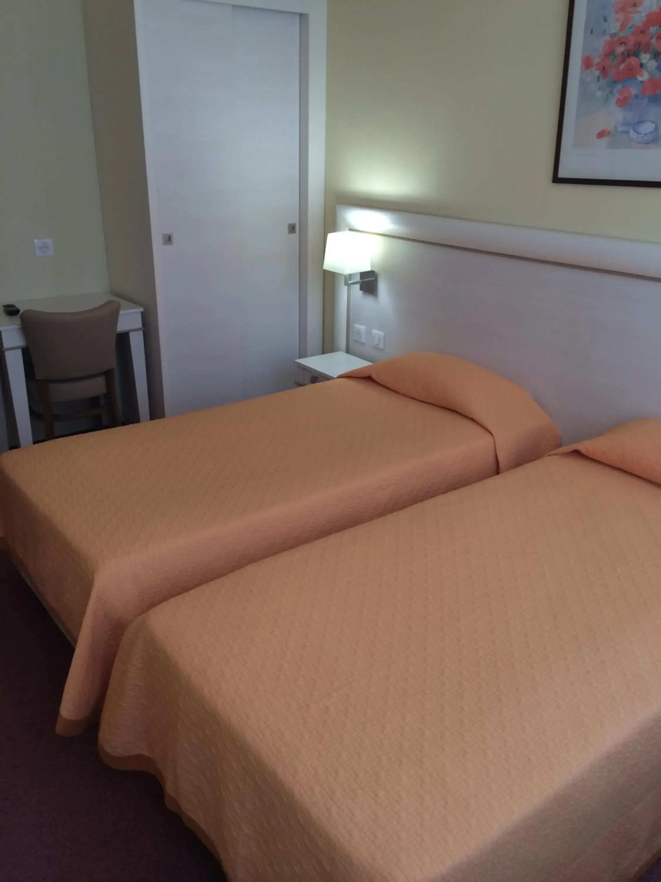 Standard Twin Room in Hotel Elysée Standard Twin Room in Hotel Elysée