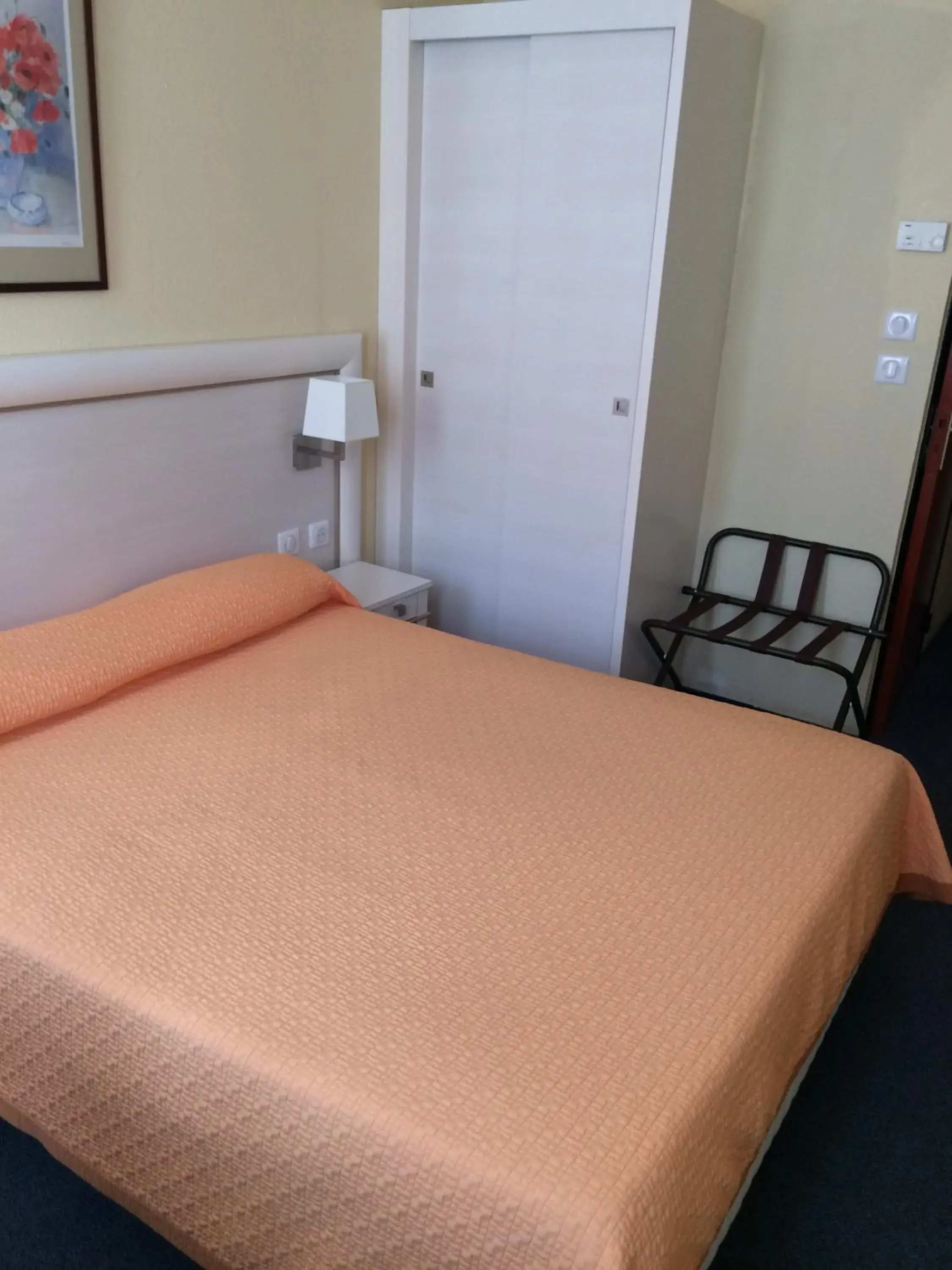 Standard Double Room in Hotel Elysée Standard Double Room in Hotel Elysée