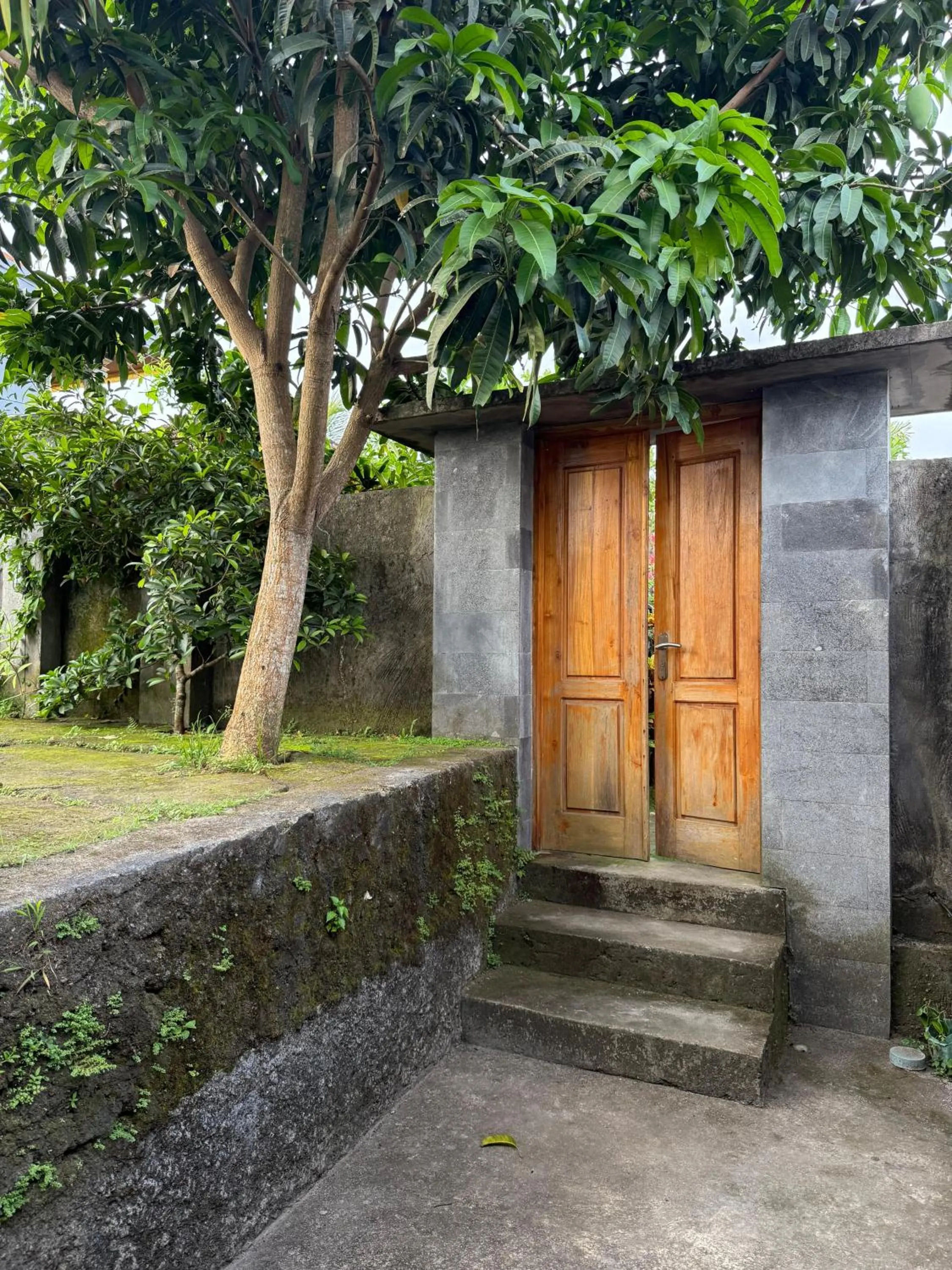 Day in Willy Homestay