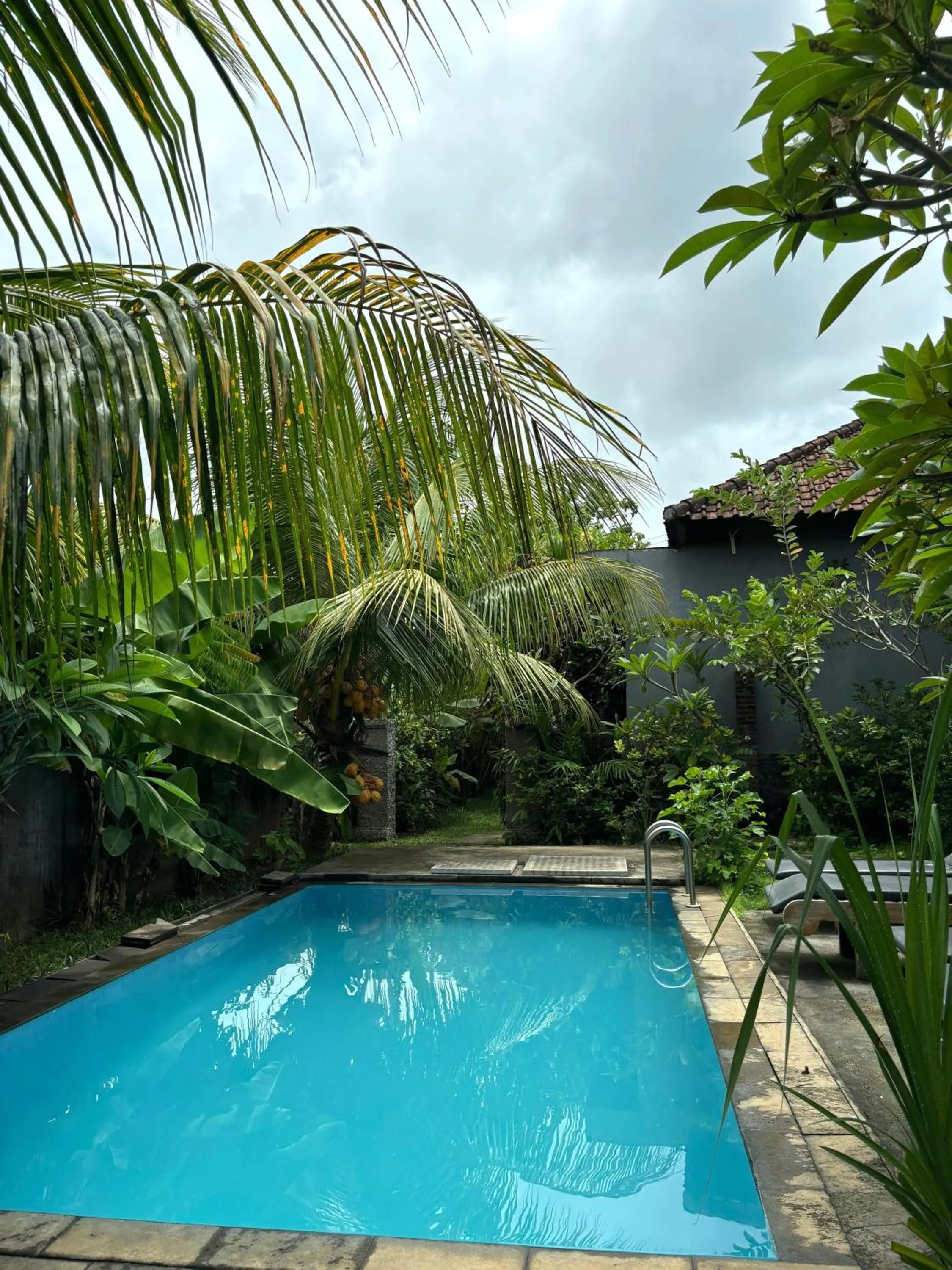 Swimming pool in Willy Homestay