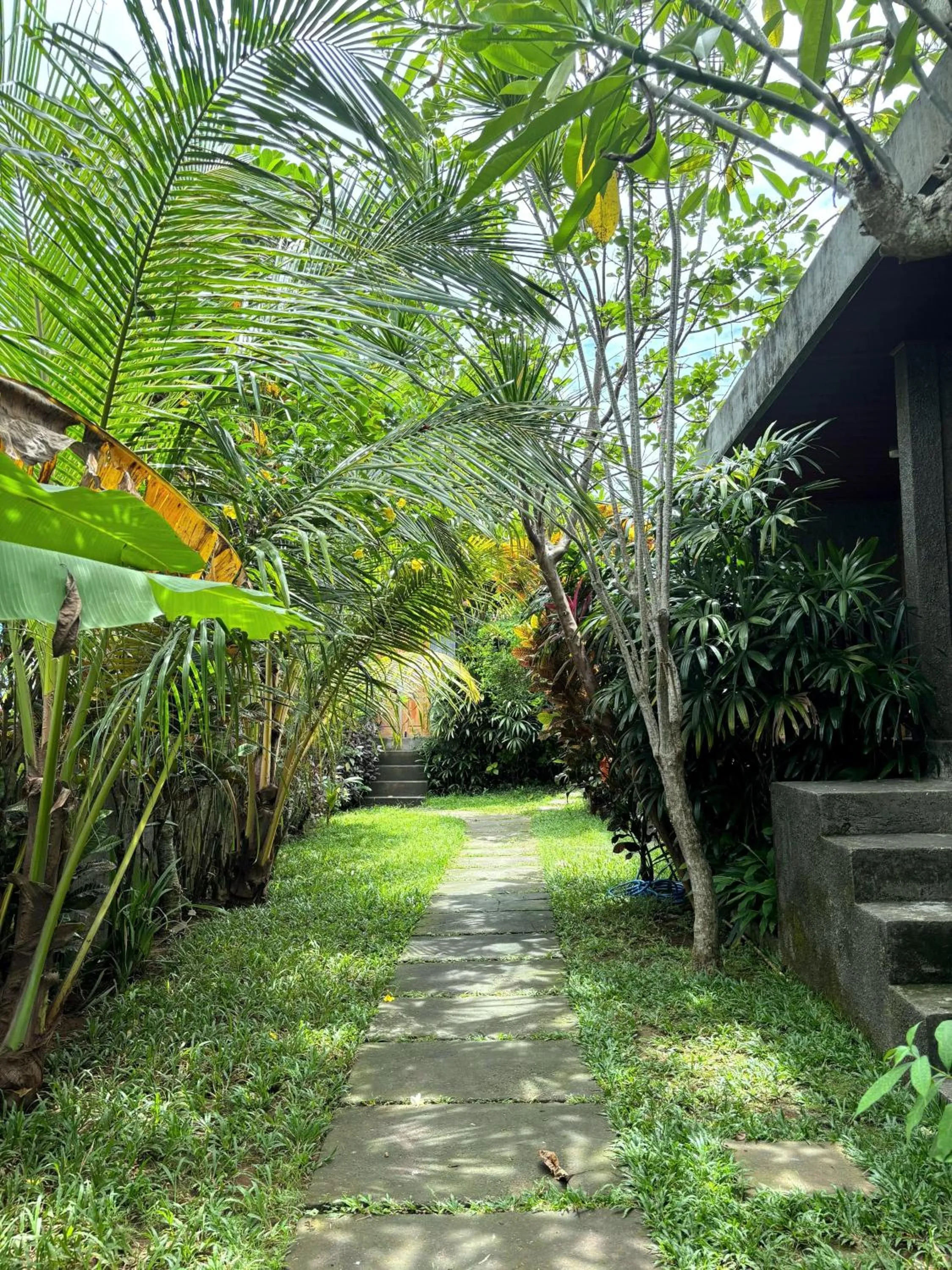 Garden view in Willy Homestay