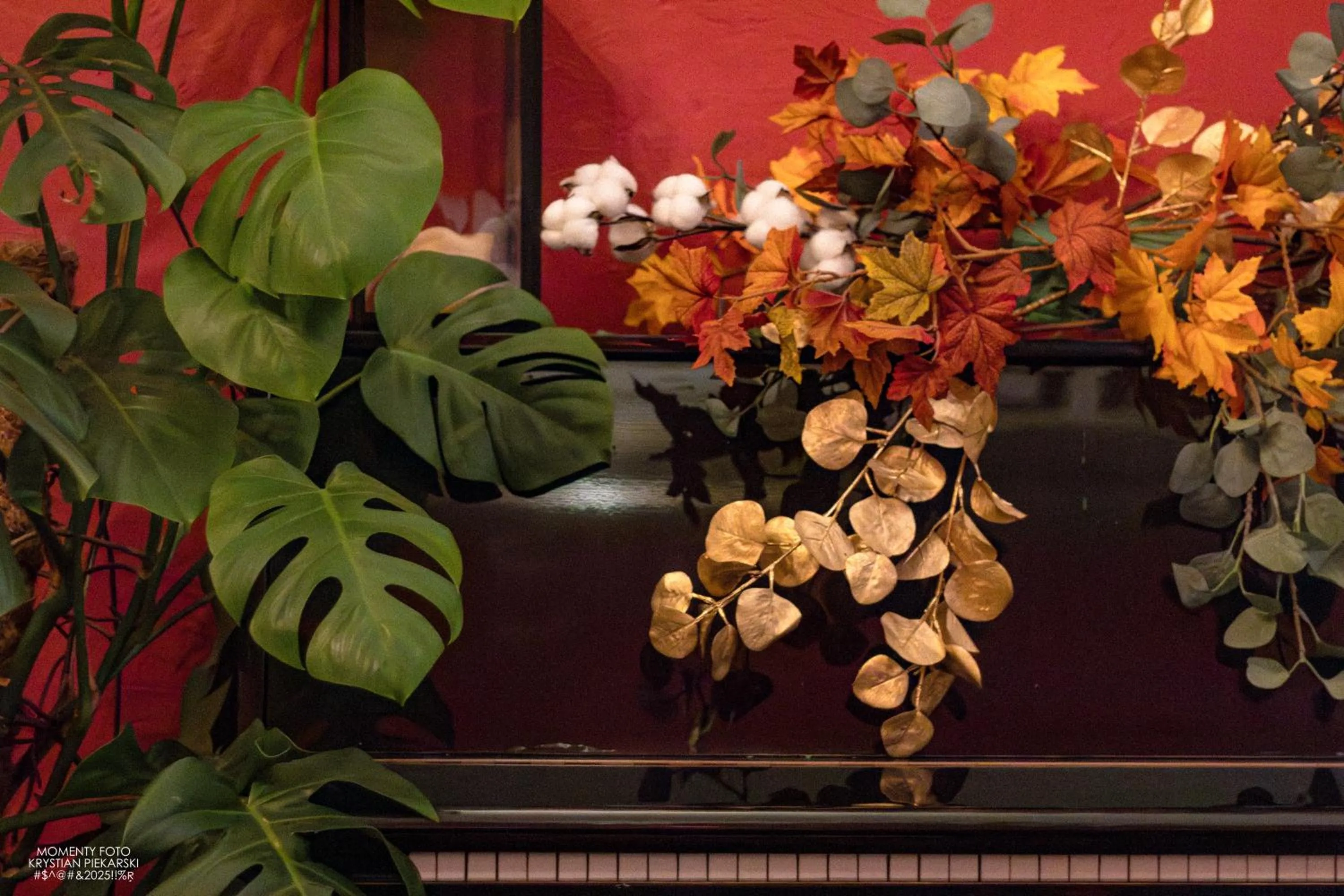 Hostel Lybeer Private Rooms just for two!