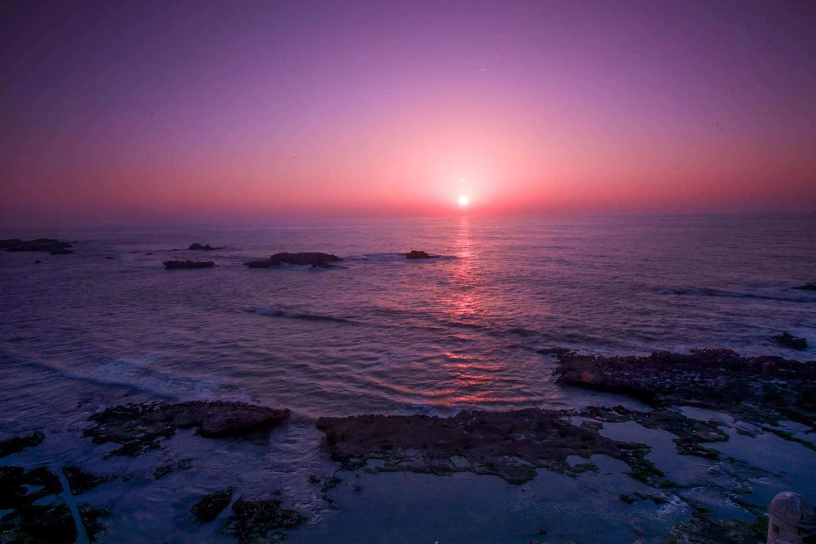 Restaurant/places to eat in Palais Des Remparts